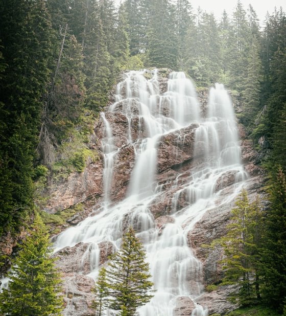 water falls in the forest