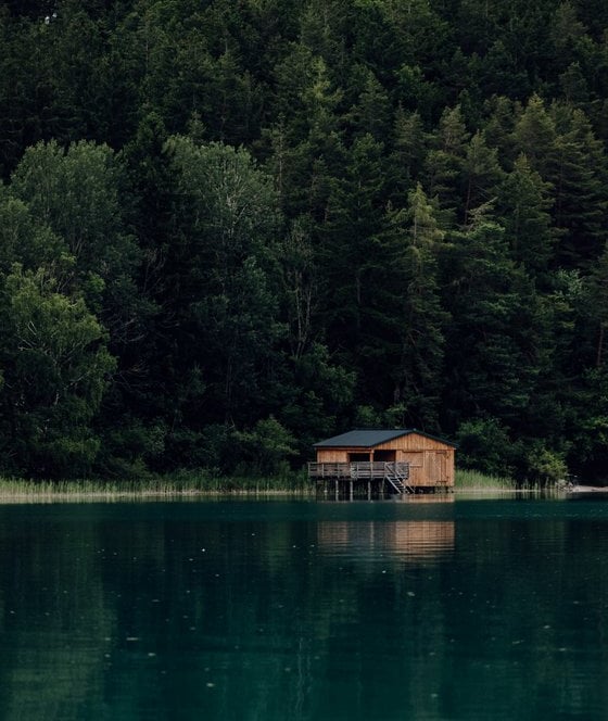 brown wooden house on lake