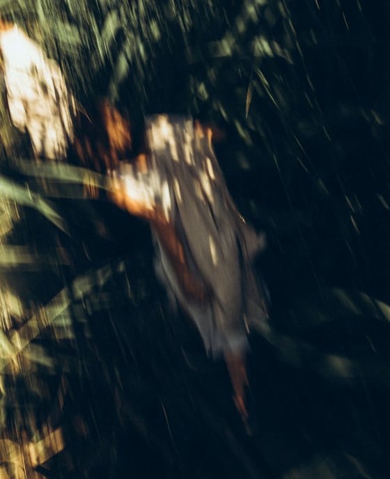 woman in white and brown dress standing on green grass during night time