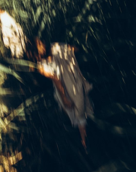 woman in white and brown dress standing on green grass during night time