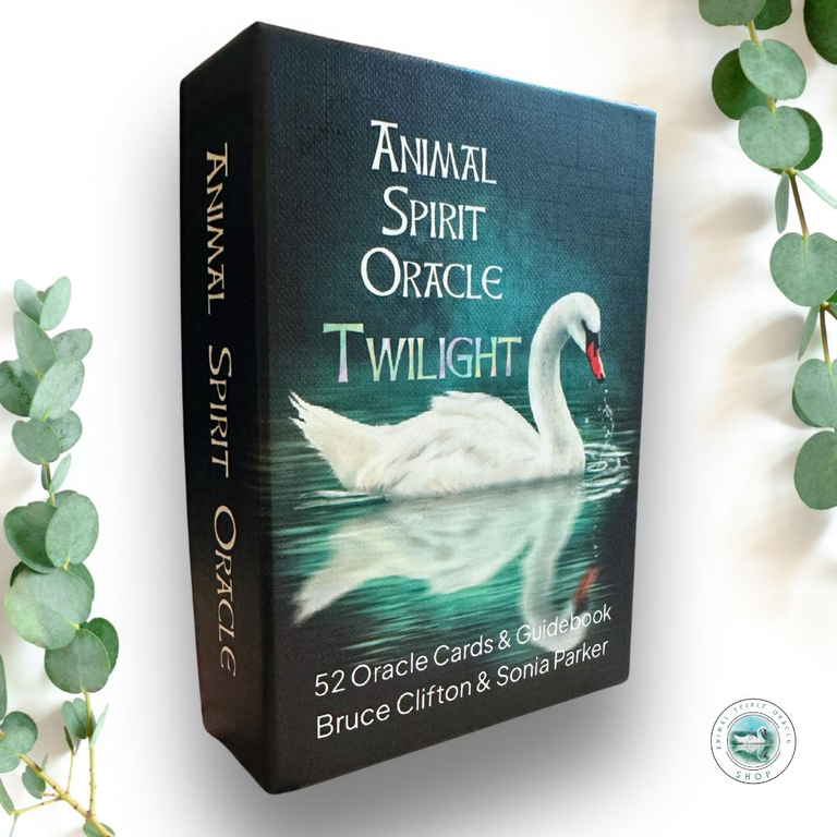 その他 The SPIRIT ANIMAL ORACLE The Spirit Animal Oracle : A 68-Card Deck and Guidebook