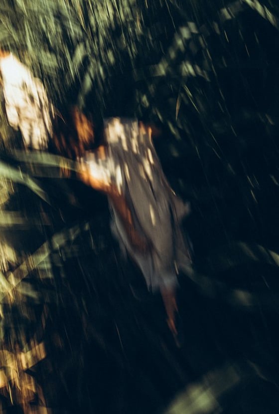 woman in white and brown dress standing on green grass during night time