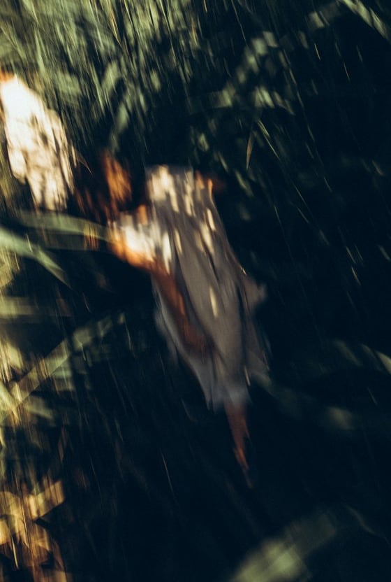 woman in white and brown dress standing on green grass during night time