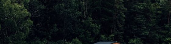 brown wooden house on lake