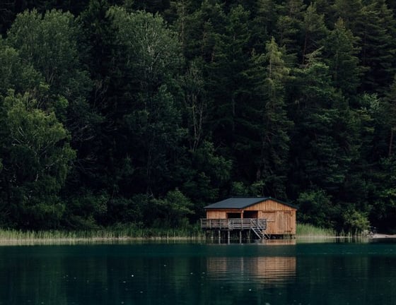 brown wooden house on lake