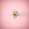 White flower in pink background