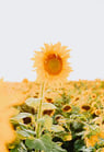 life coaching growth Christian