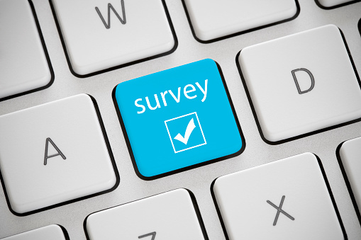 Surveyor