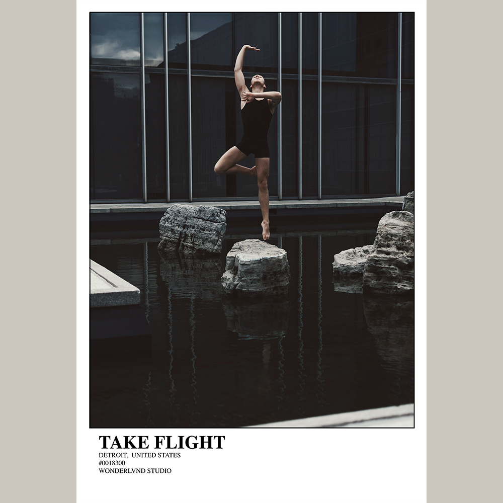 Take Flight (NOT ACTUAL PRICE)