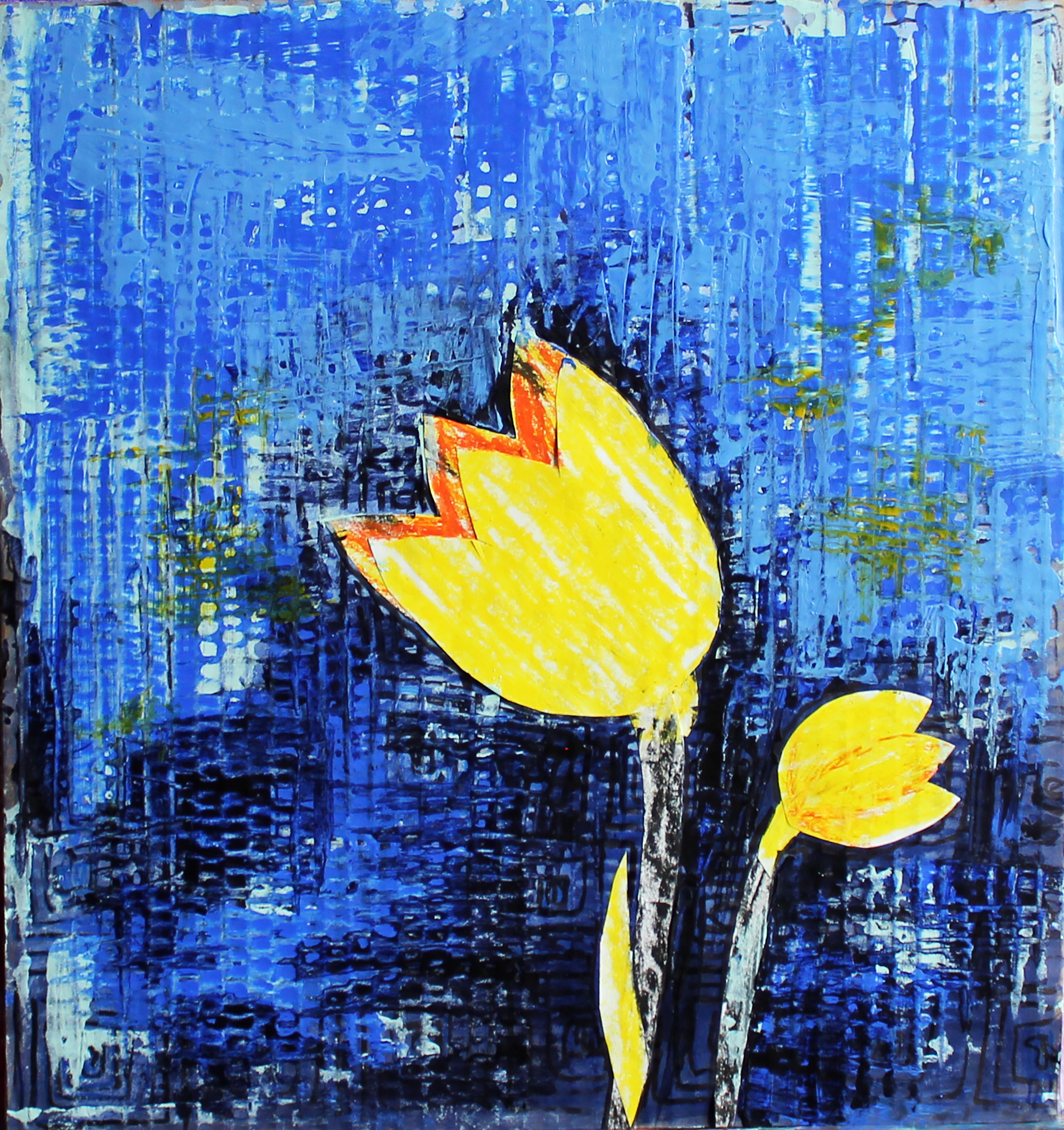Yellow tulips