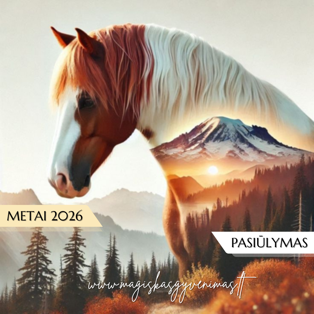 METAI 2026