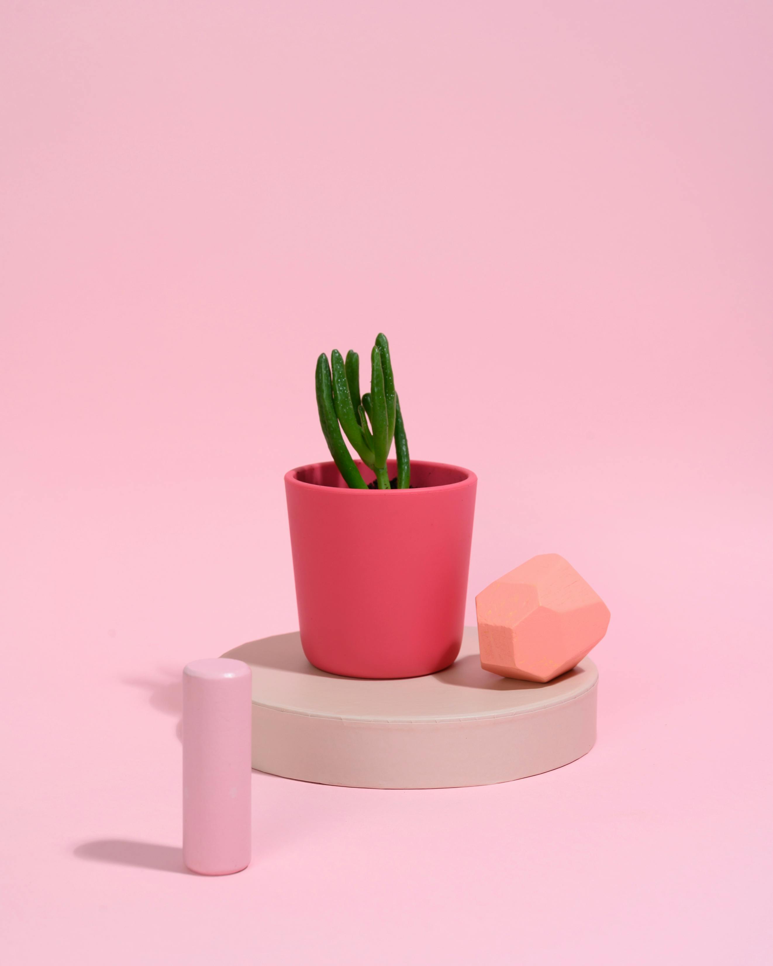 'Balance' Vase