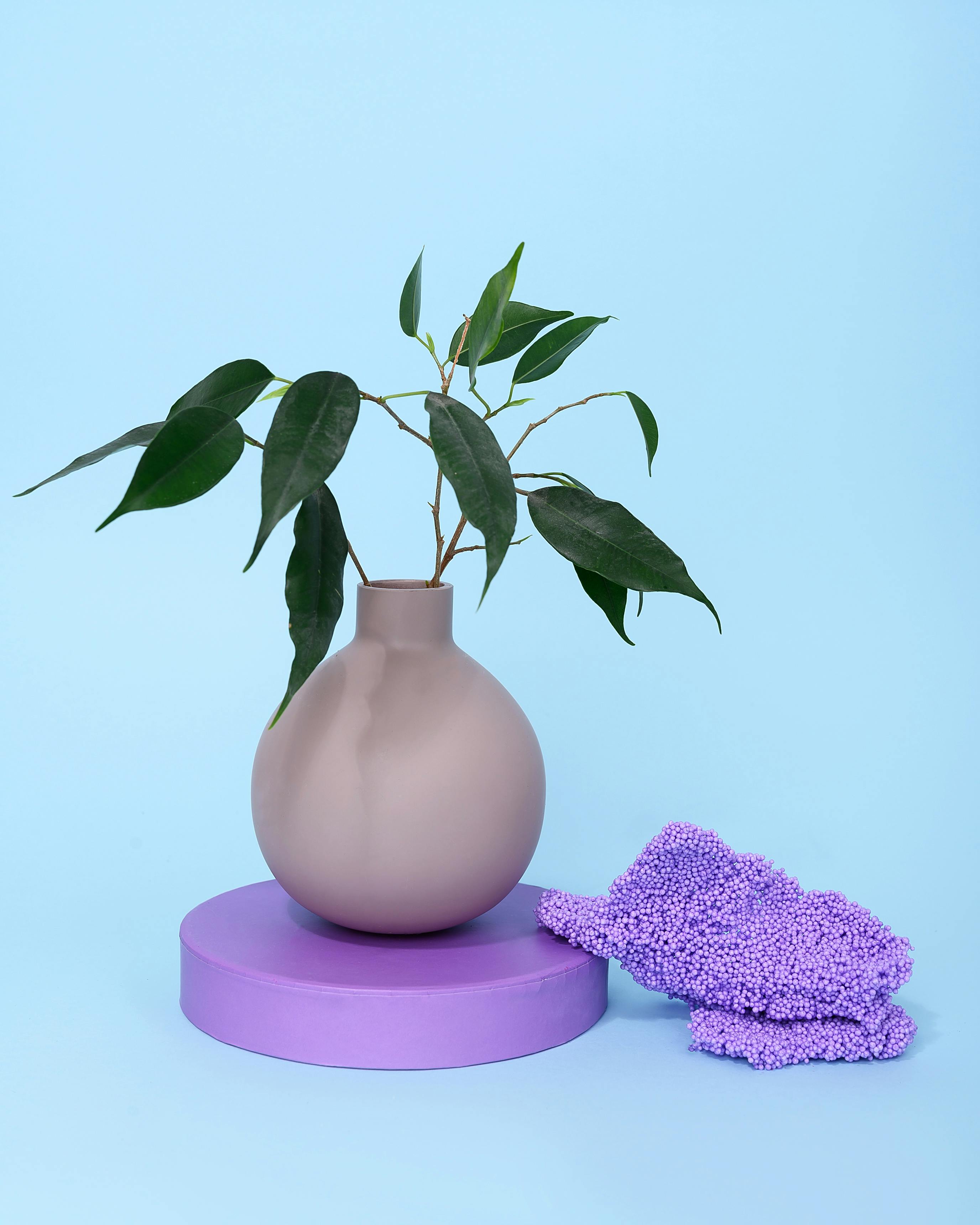'Bulb' Vase