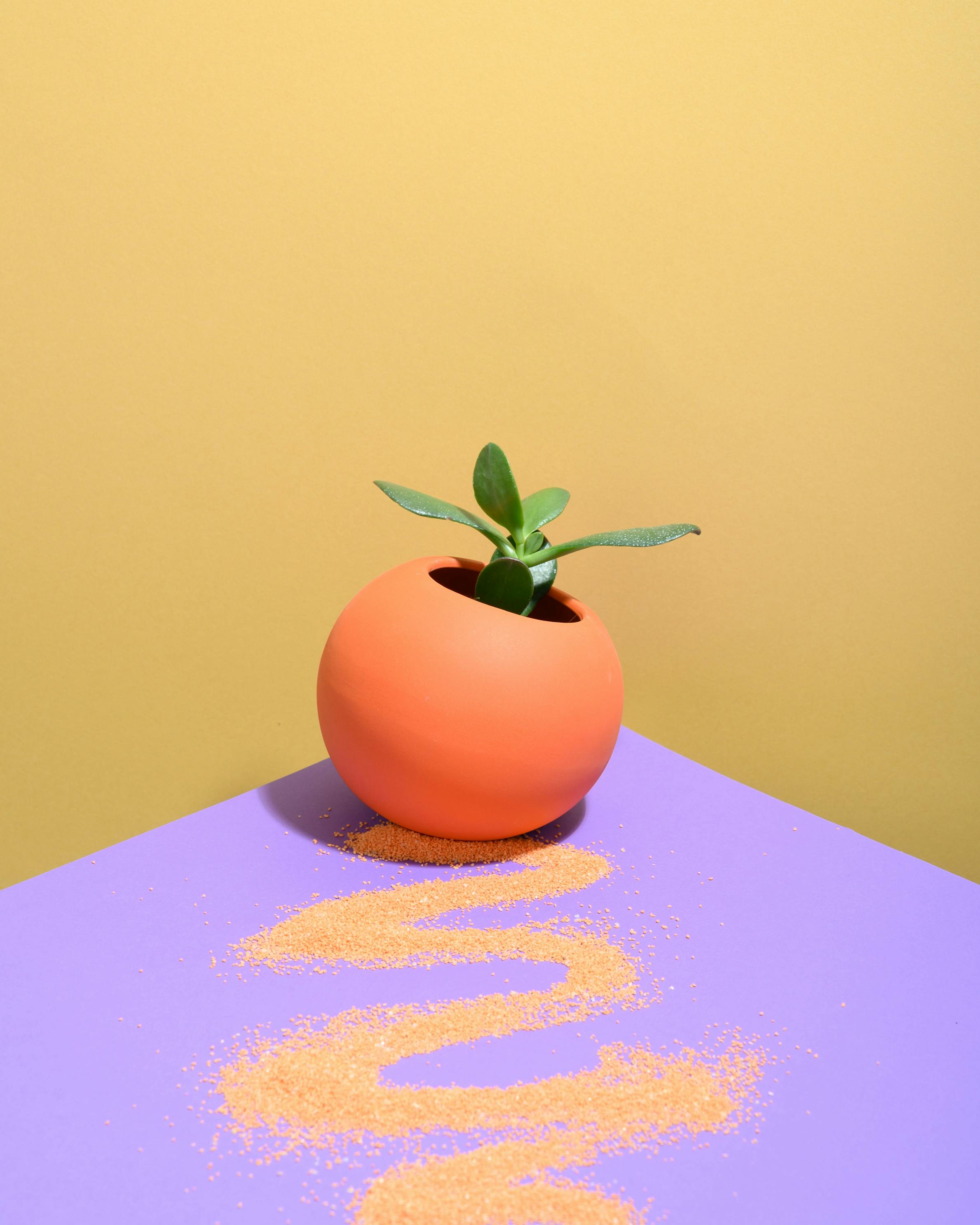 'Wave' Vase