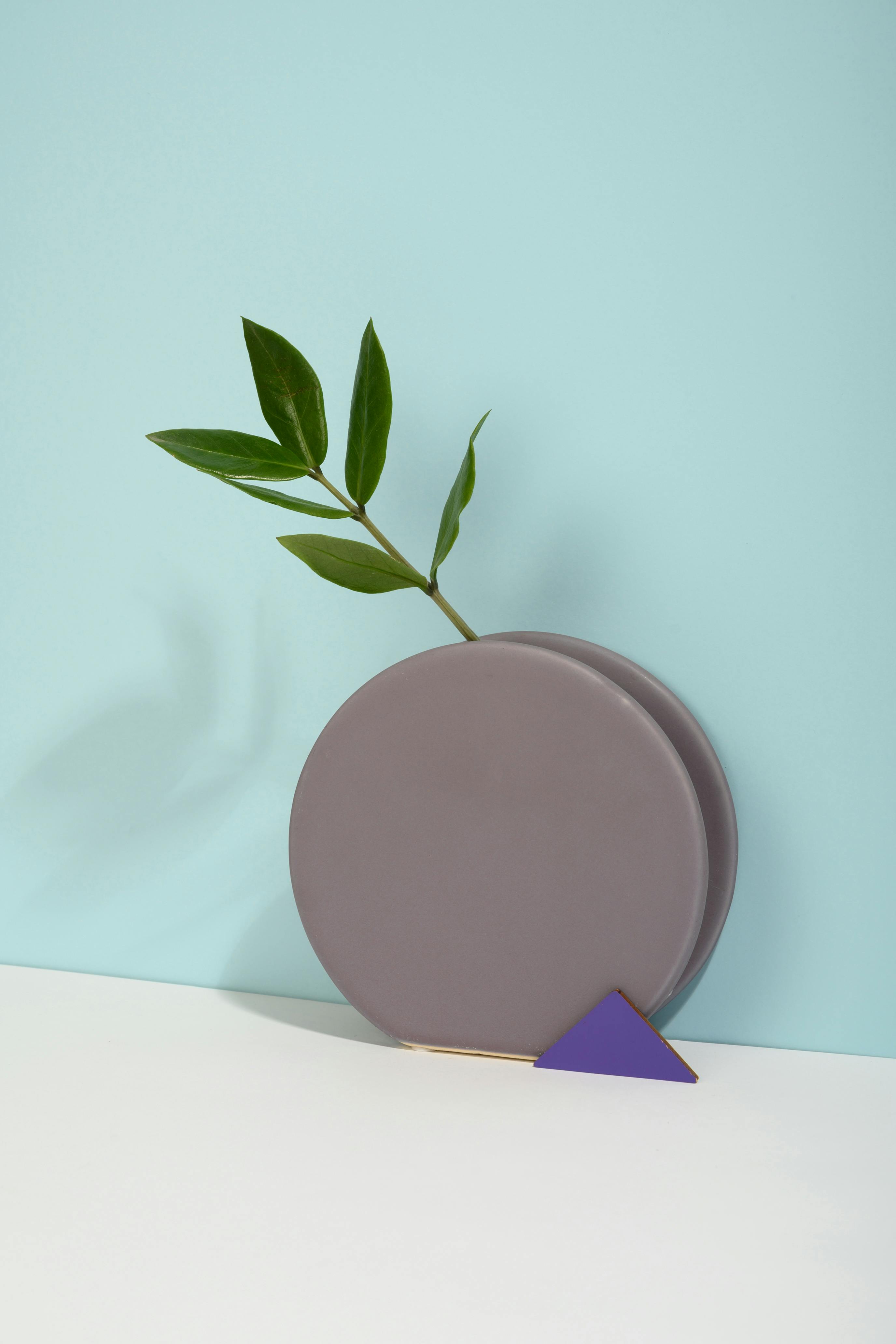 'Bubble' Flowerpot