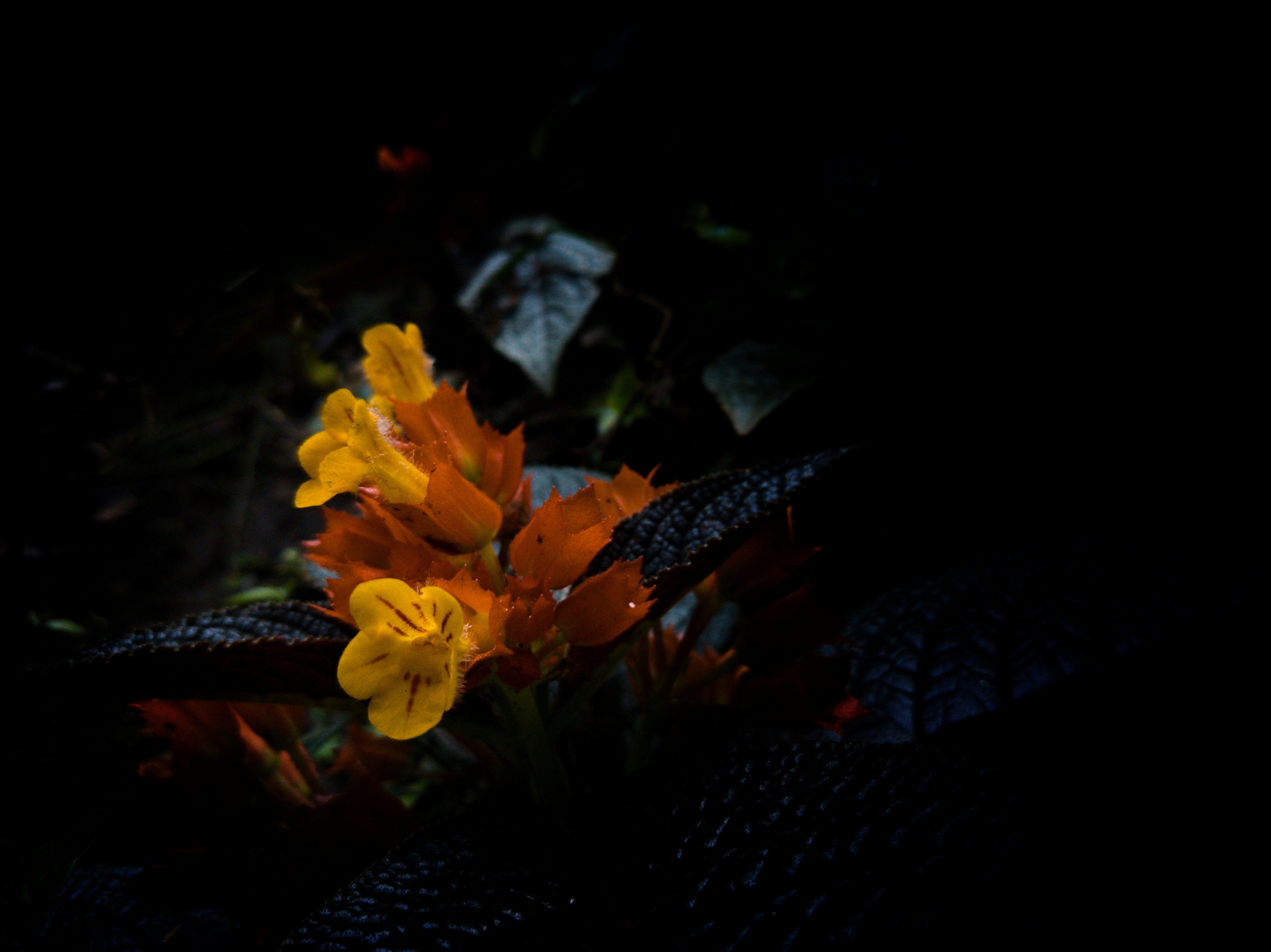 Autumn chill
