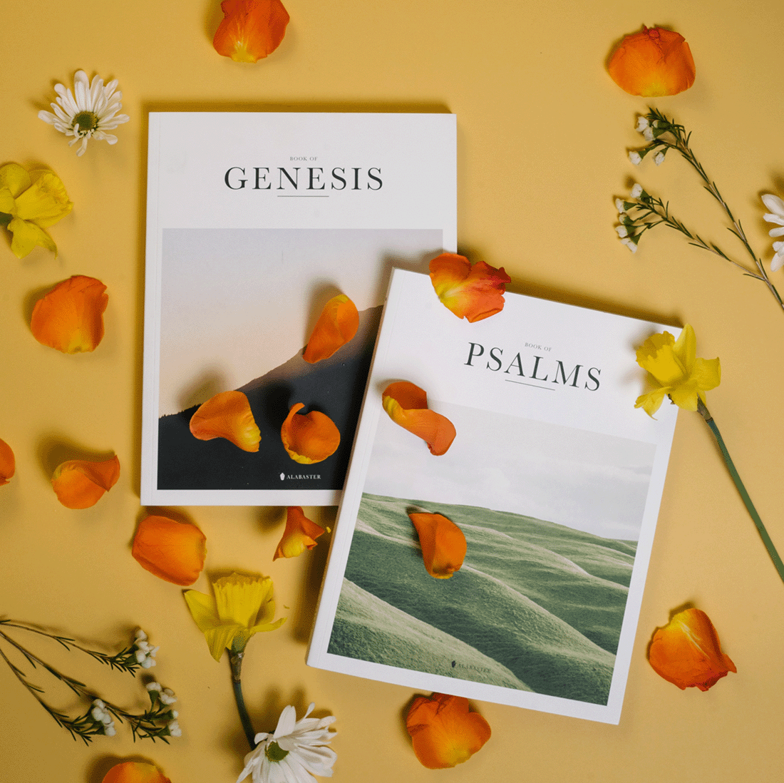 Genesis and Psalms Magazines subscription