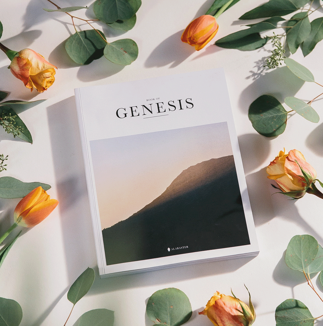 Genesis Magazine omnibus