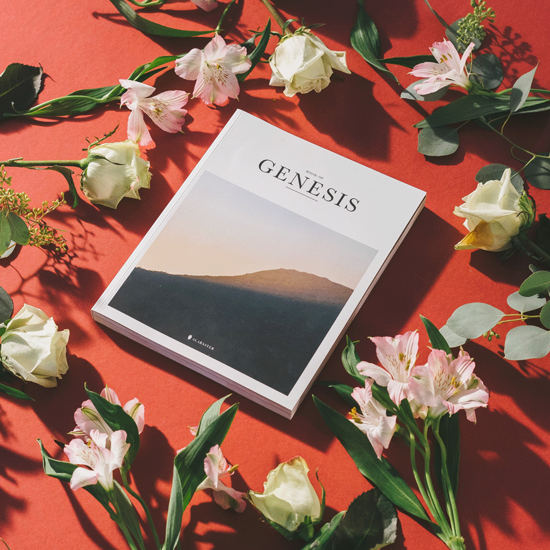 Genesis Magazine