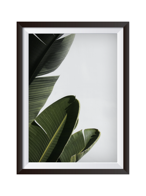 LEAVES
