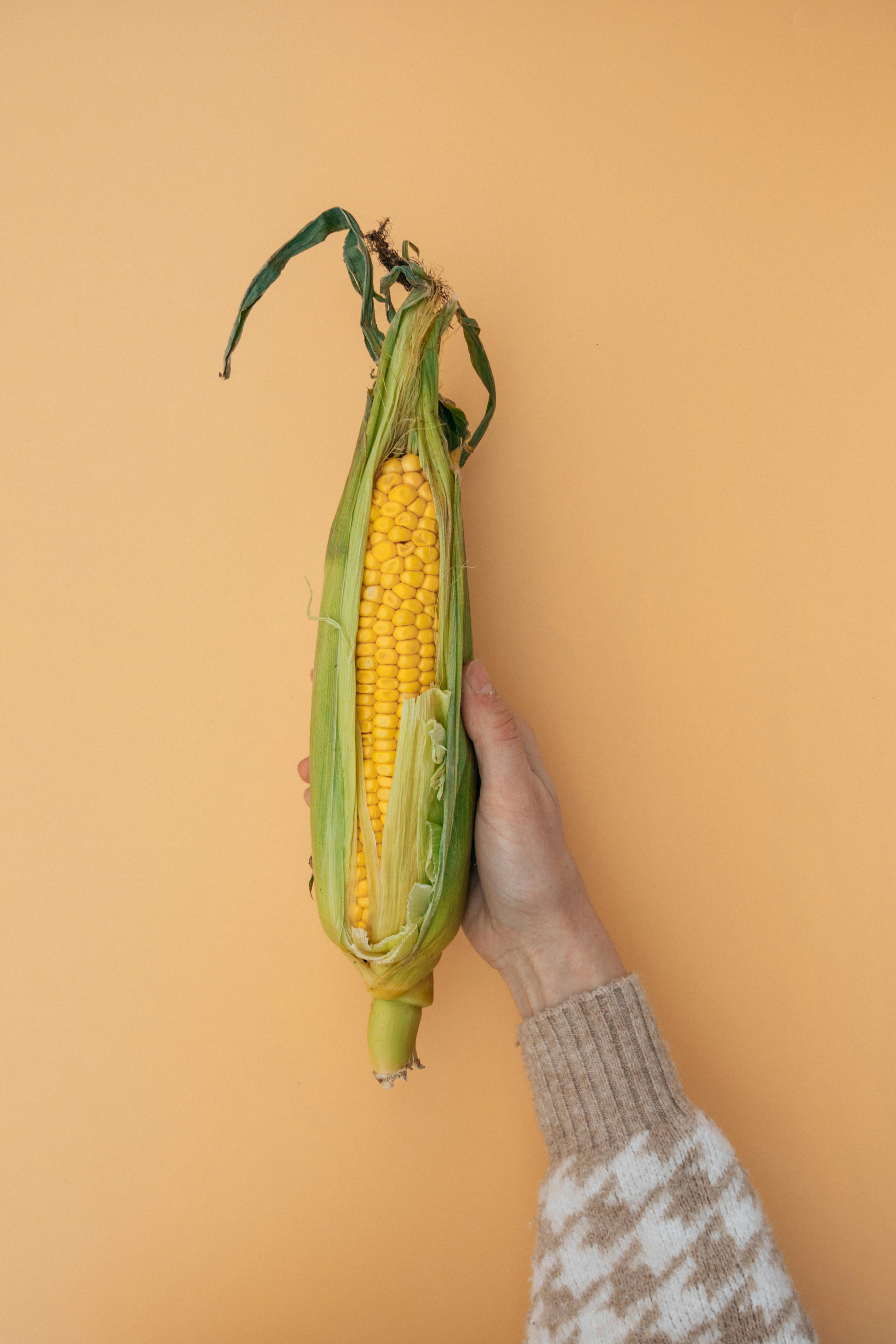 Corn