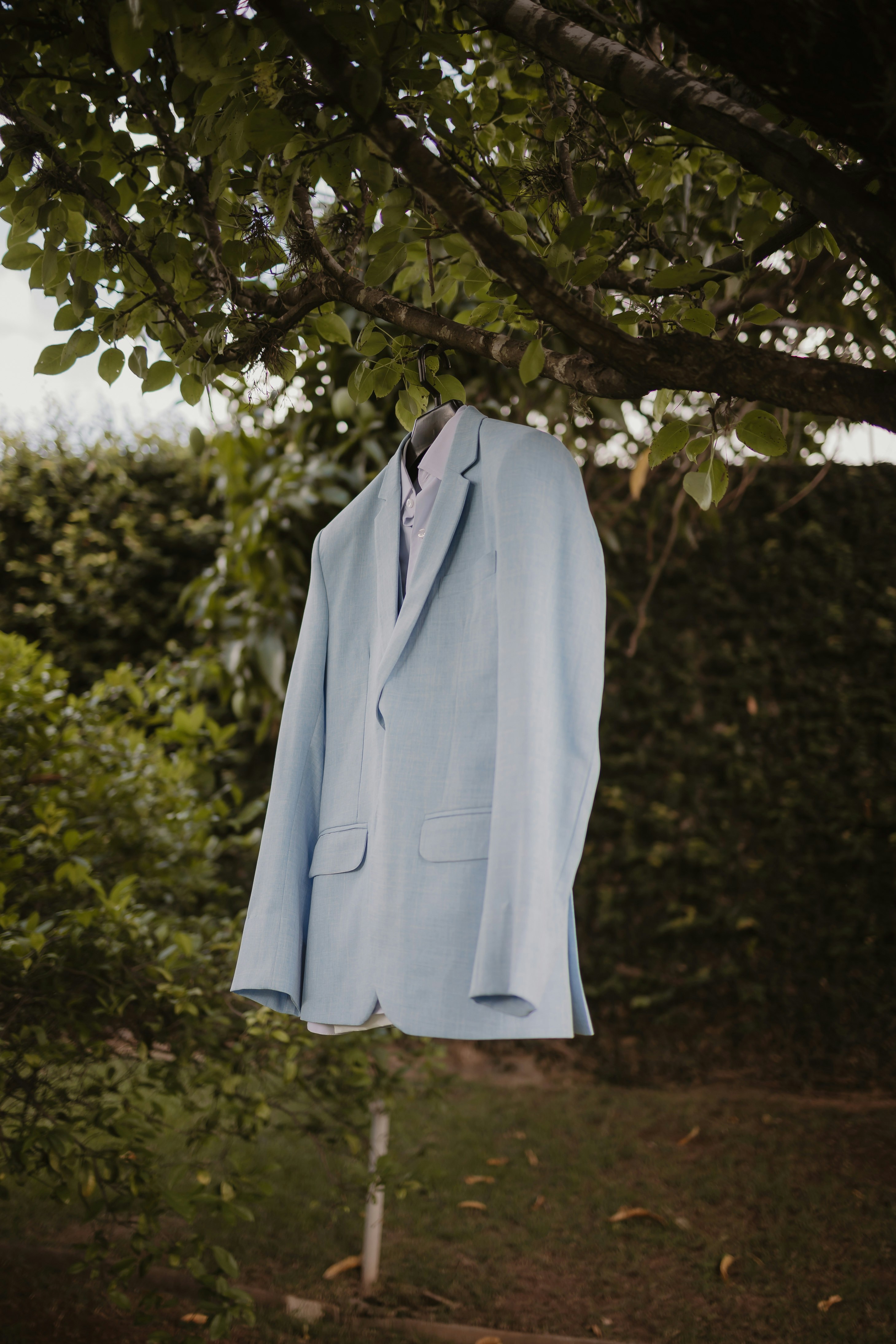 Suit
