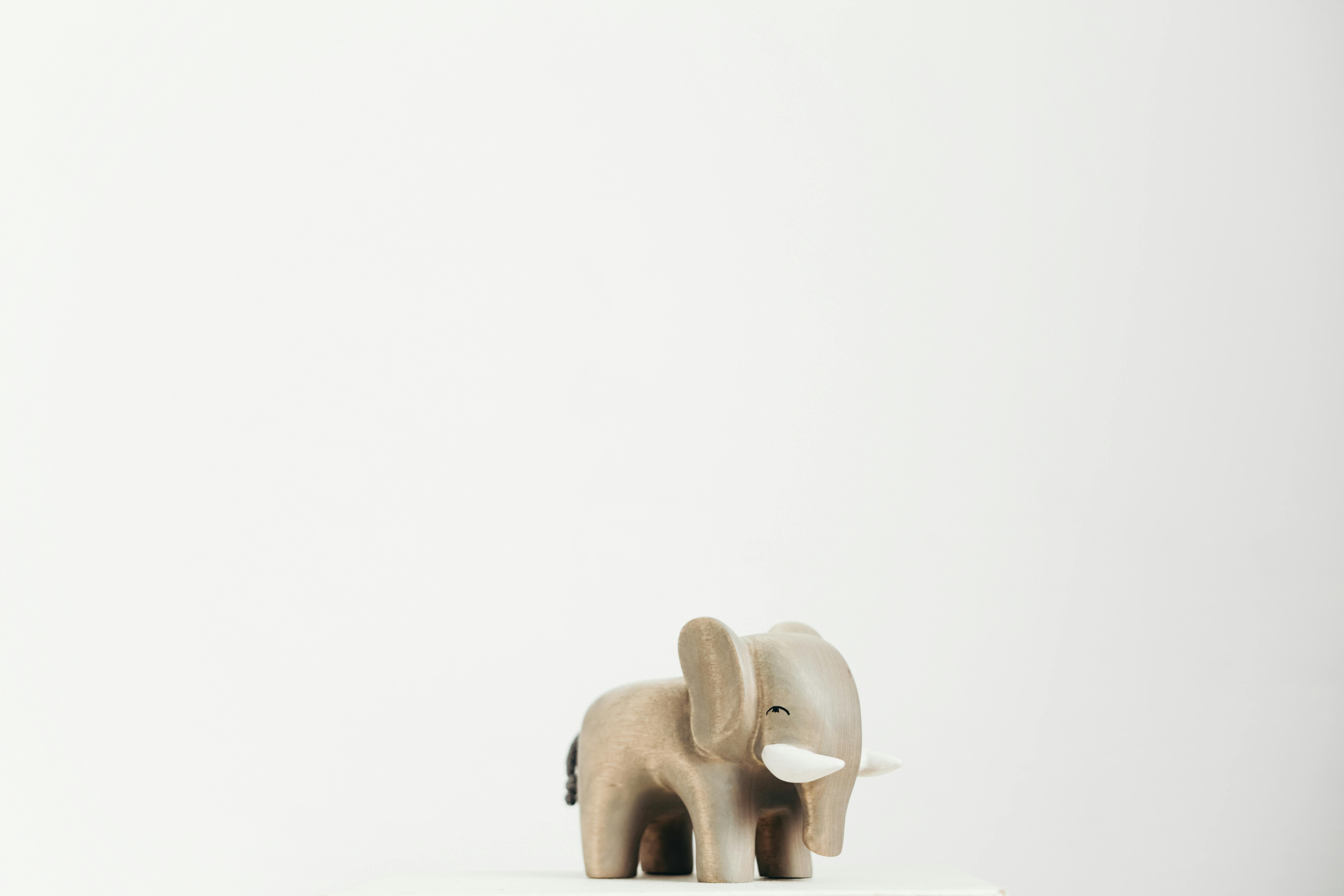 Happy elephant