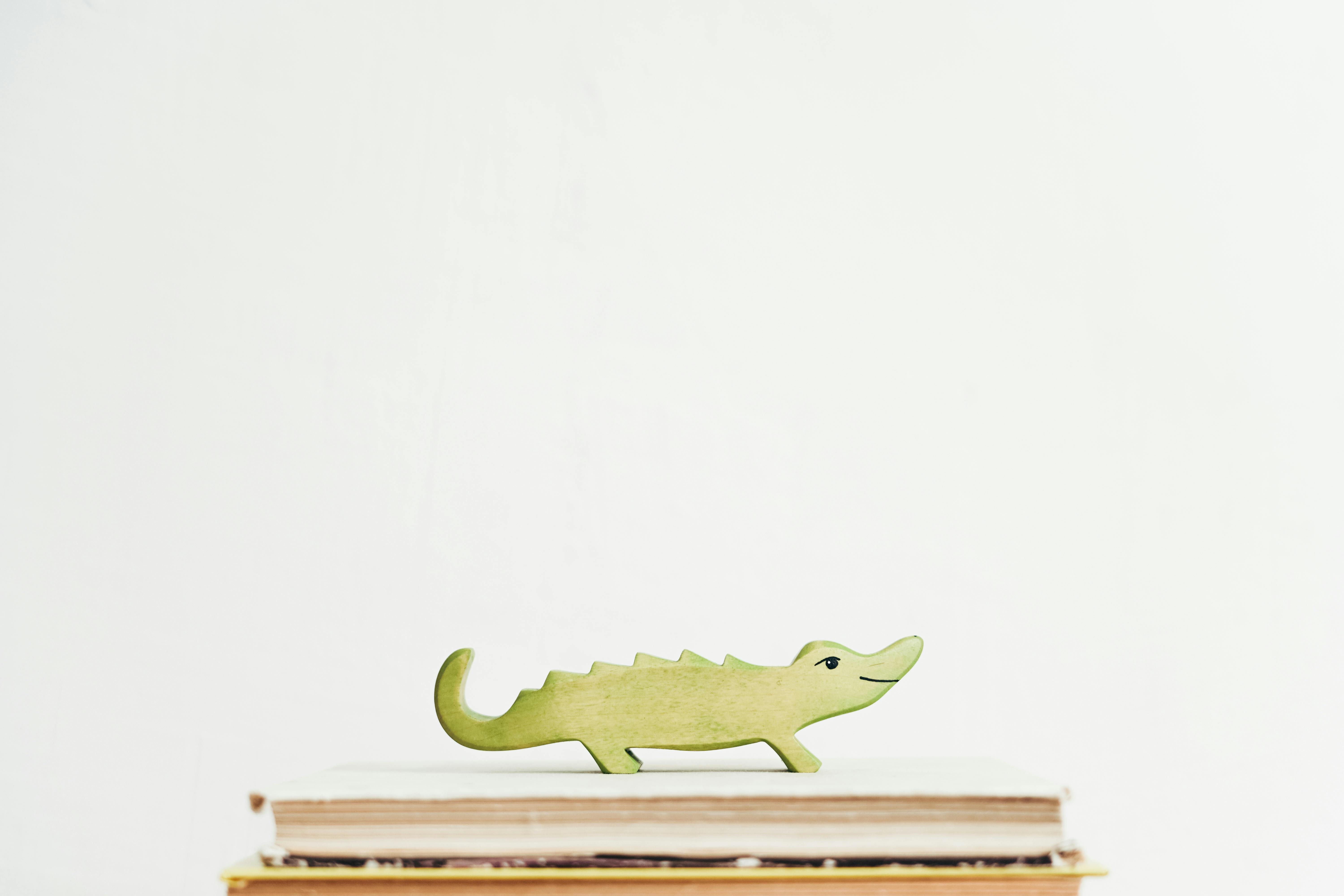 Crocodile