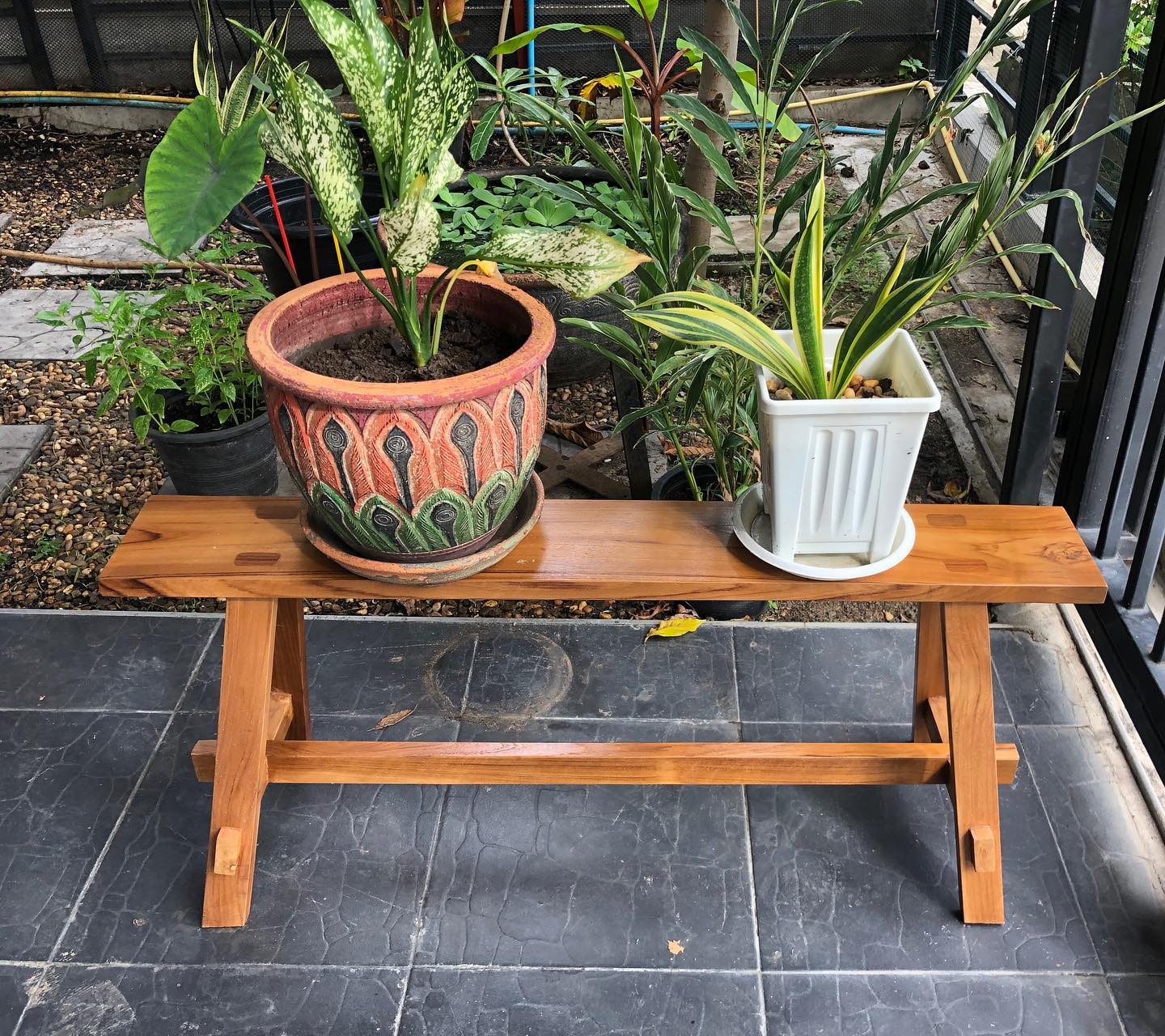 ม้านั่งไม้สน