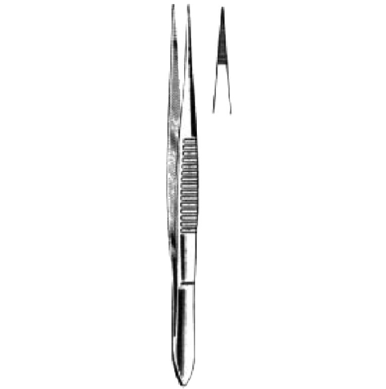 German Dissecting Forceps 