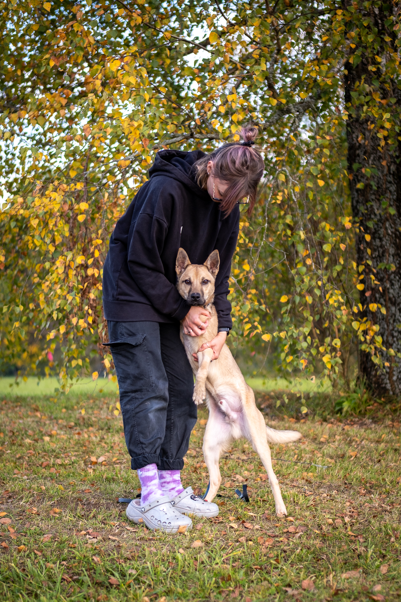 Laukas