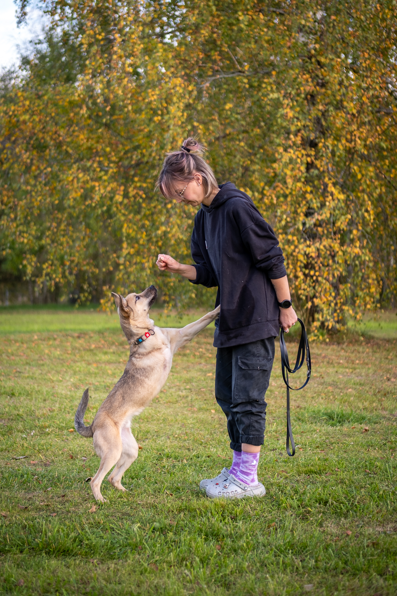 Laukas