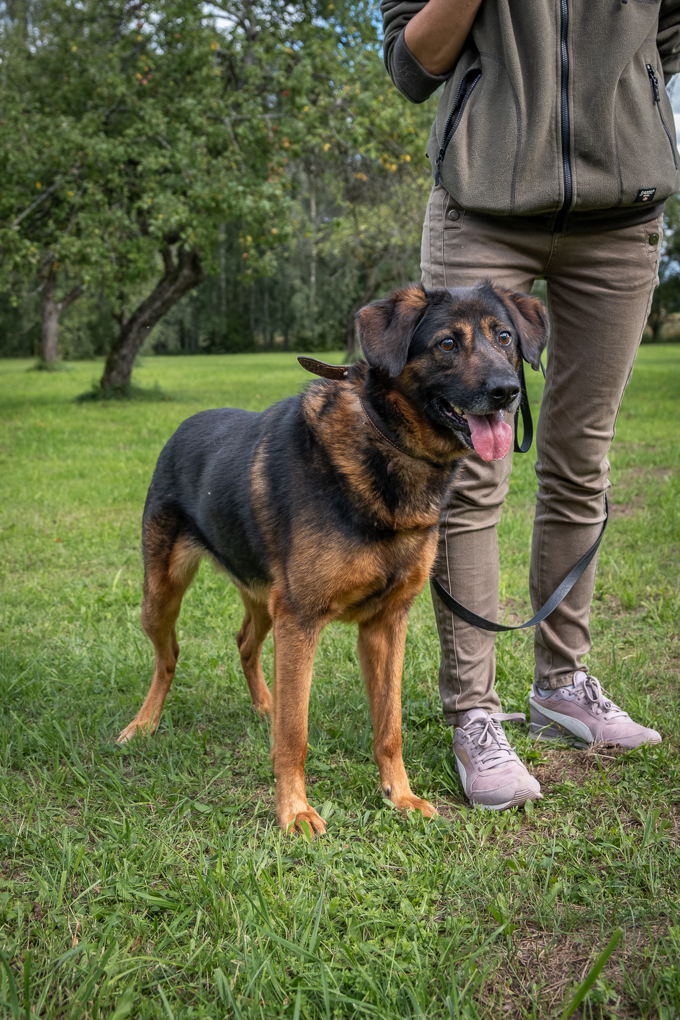Kiras