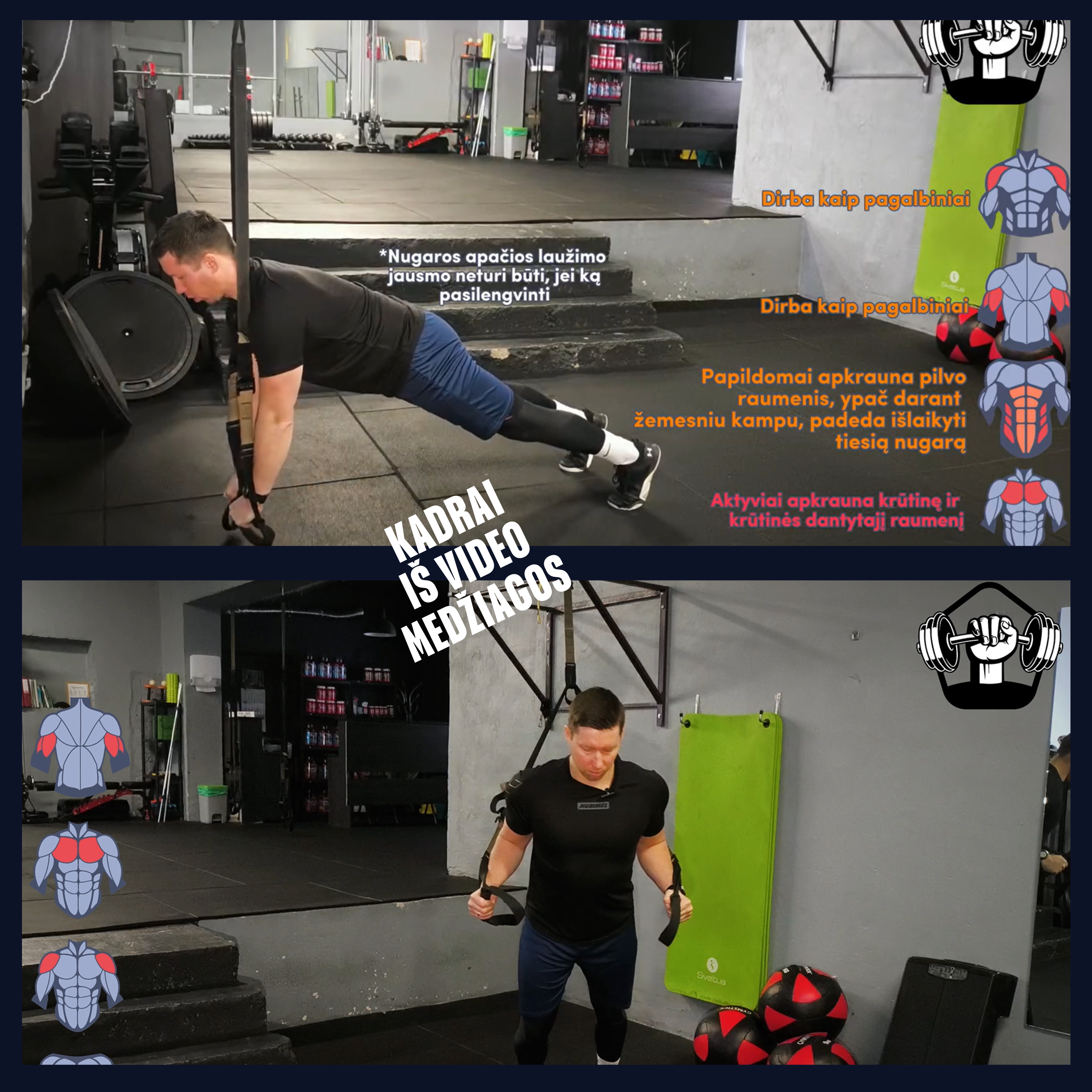 TRX jėgos diržų programa (1 pradedančiųjų lygis)