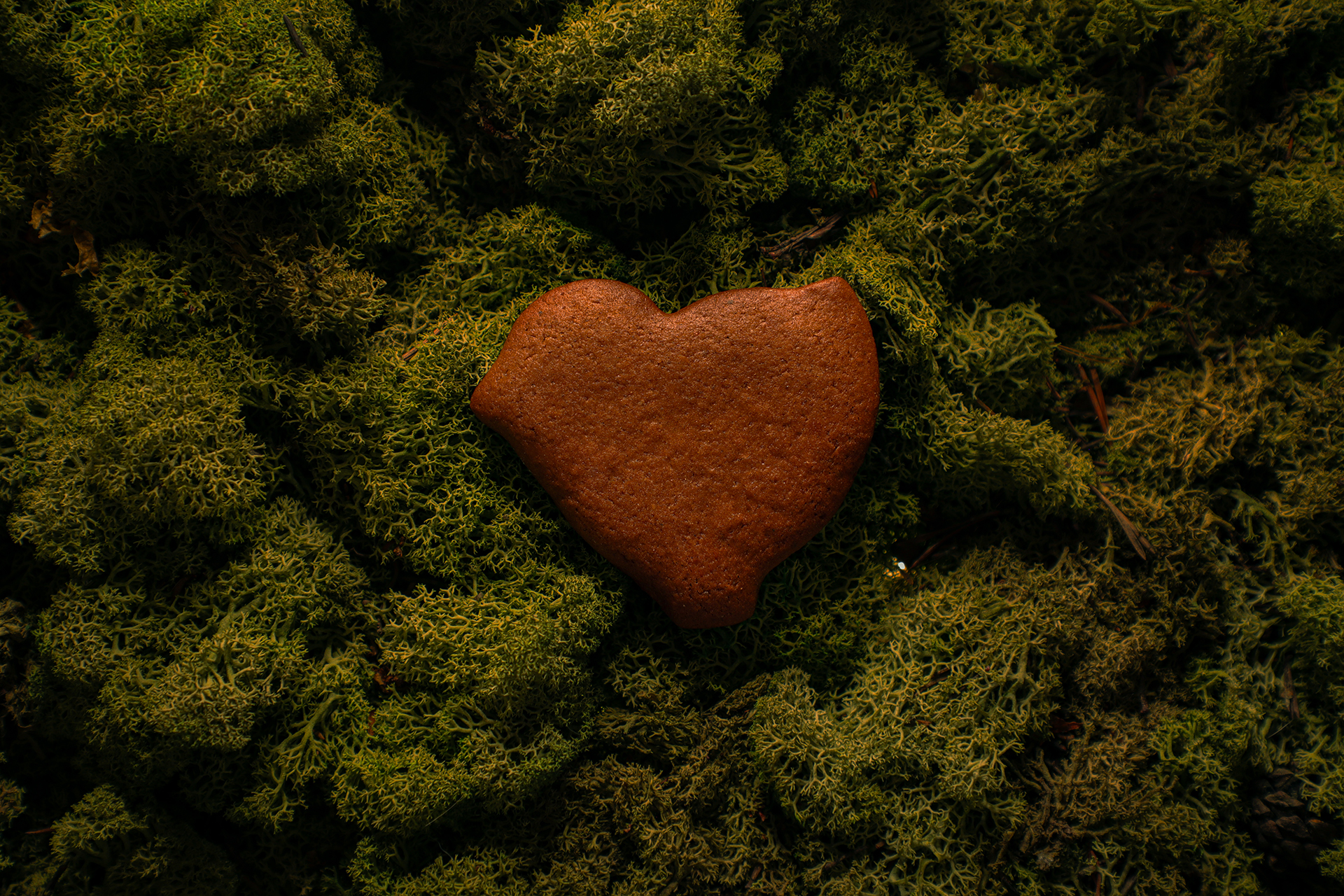 Meduolis „Gerulis“