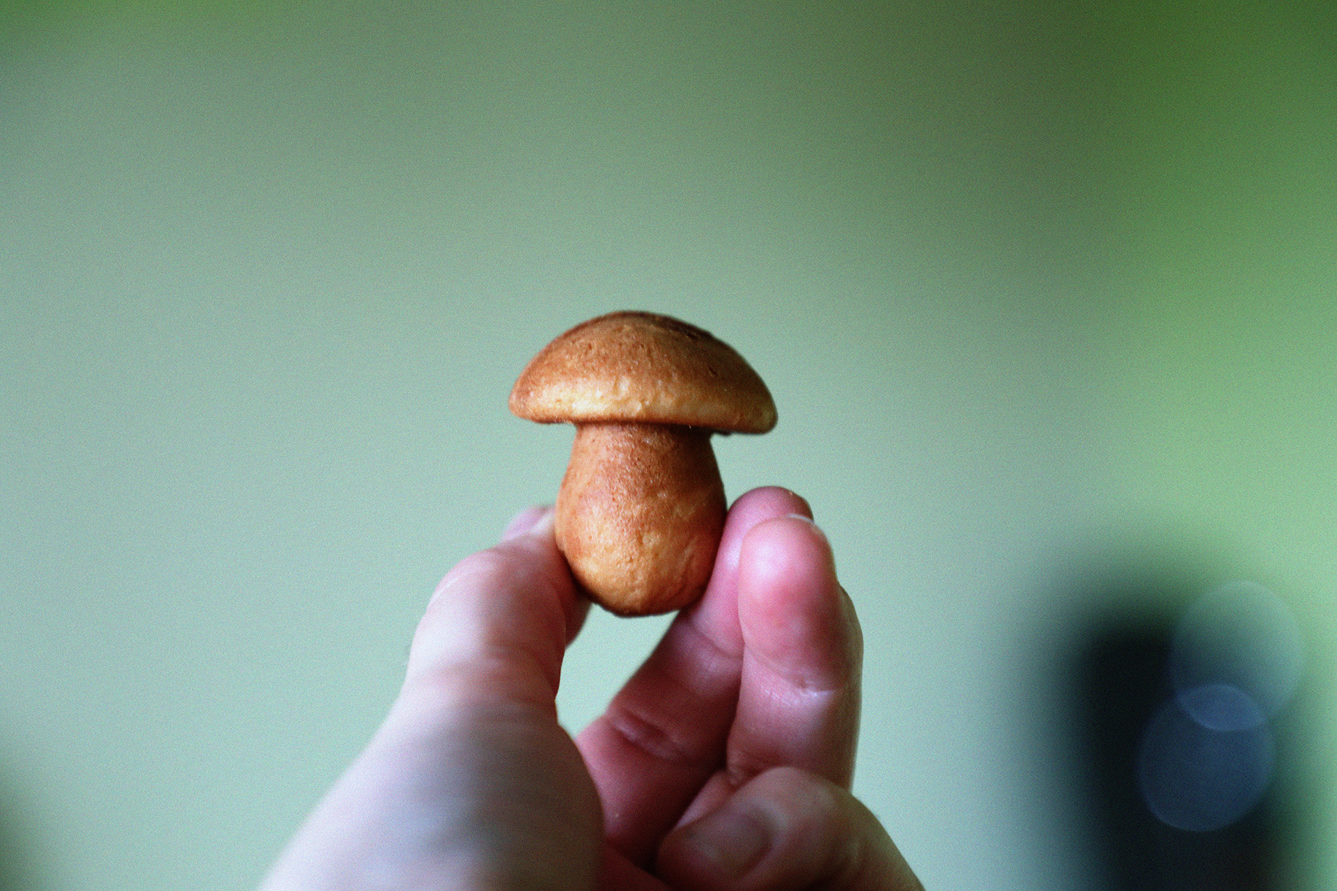 Meduolinis nuogutis