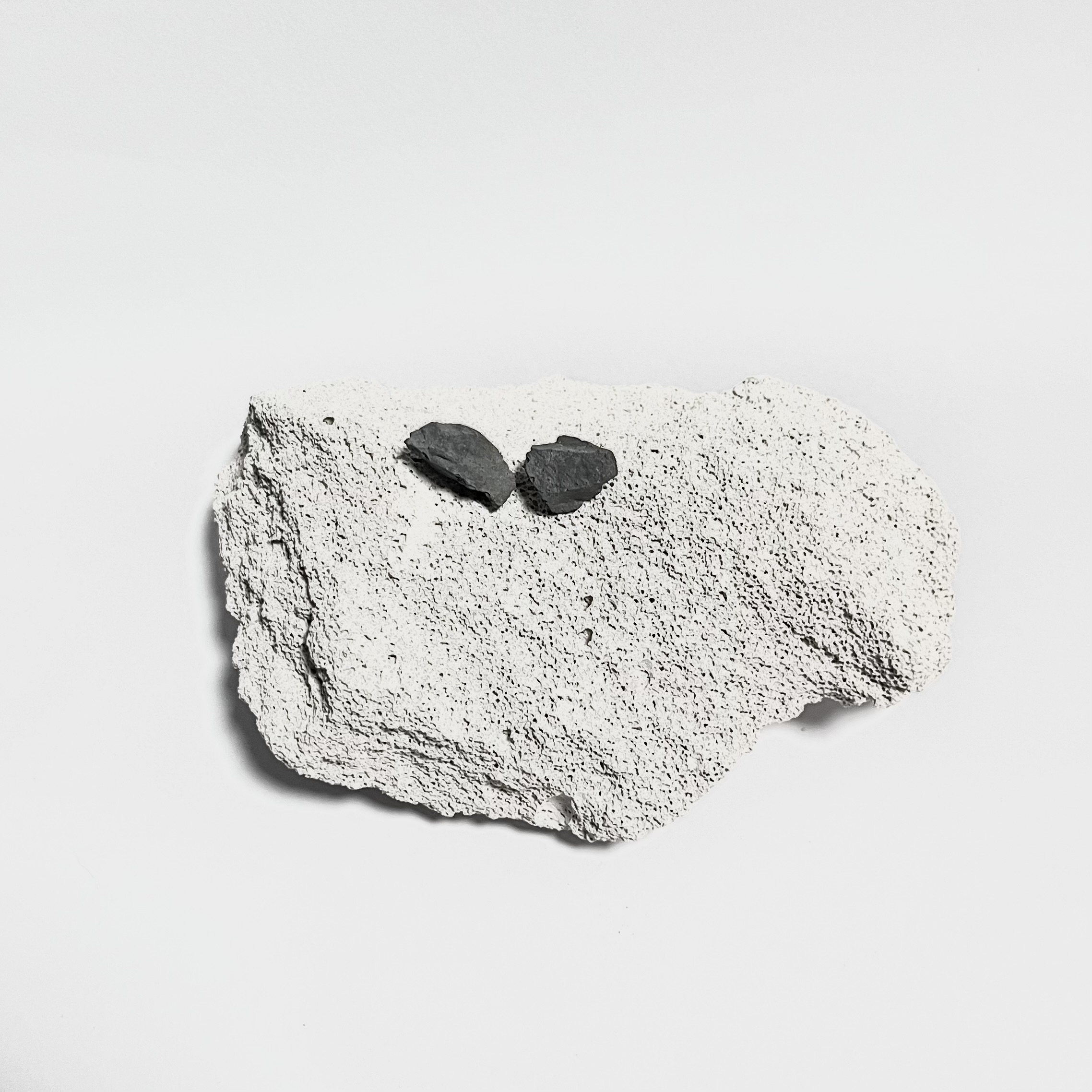 Auskarai AKMUO / Earrings STONE