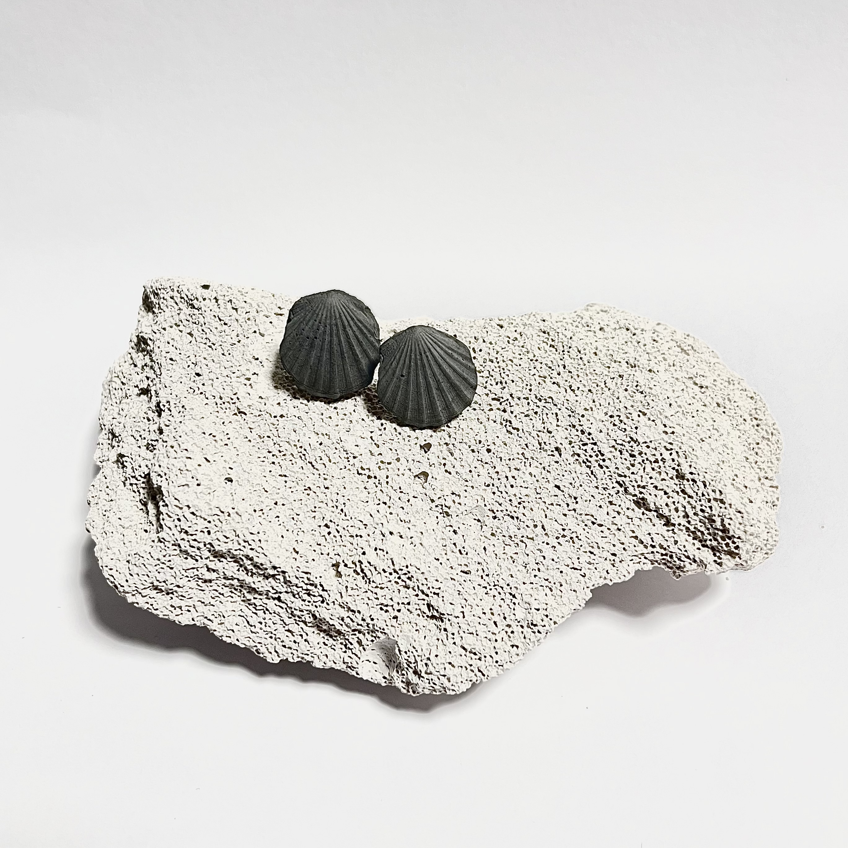 Auskarai PILKOS KRIAUKLĖS / Earrings GREY SEASHELLS