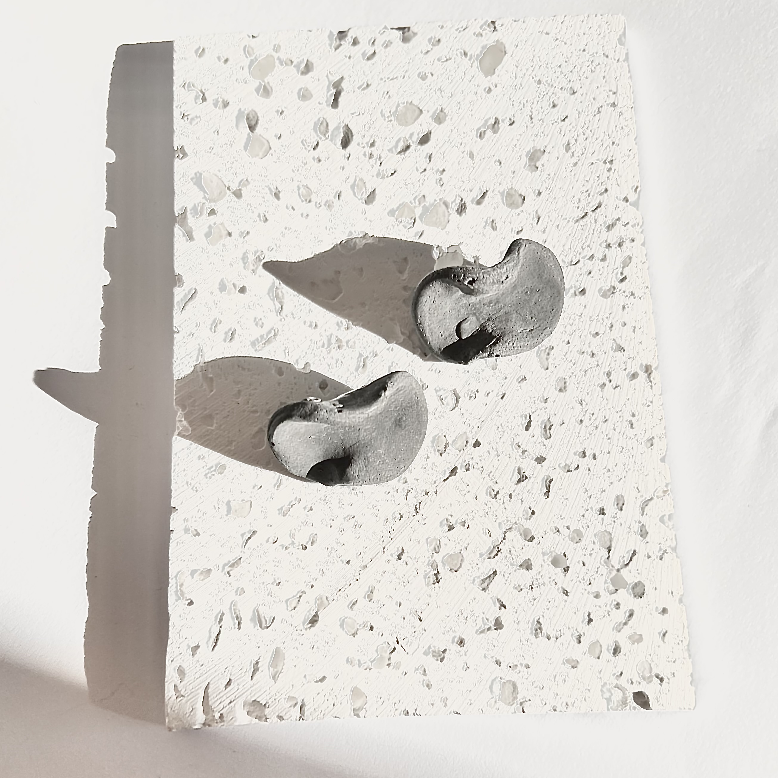 Auskarai BANGA / Earrings WAVE