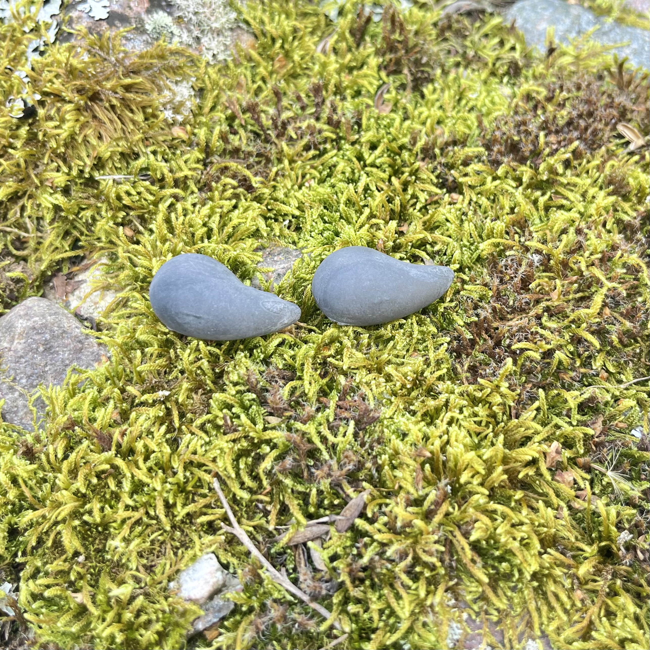 Auskarai LAŠAS / Earrings RAINDROP