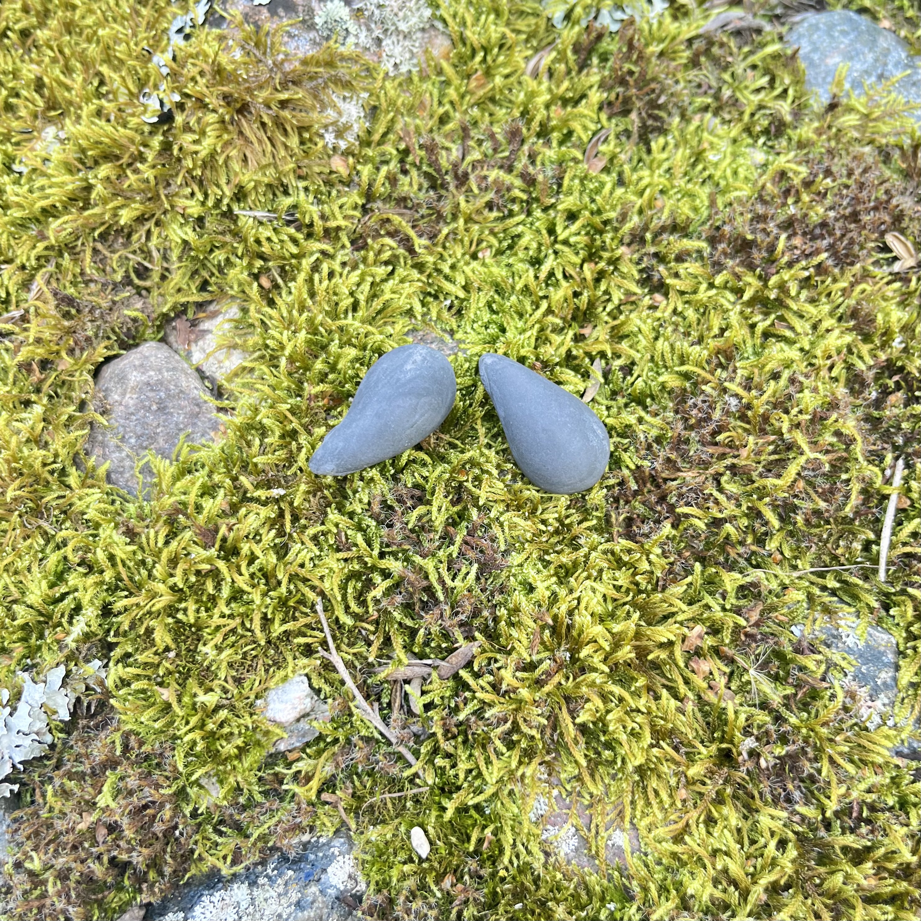 Auskarai LAŠAS / Earrings RAINDROP