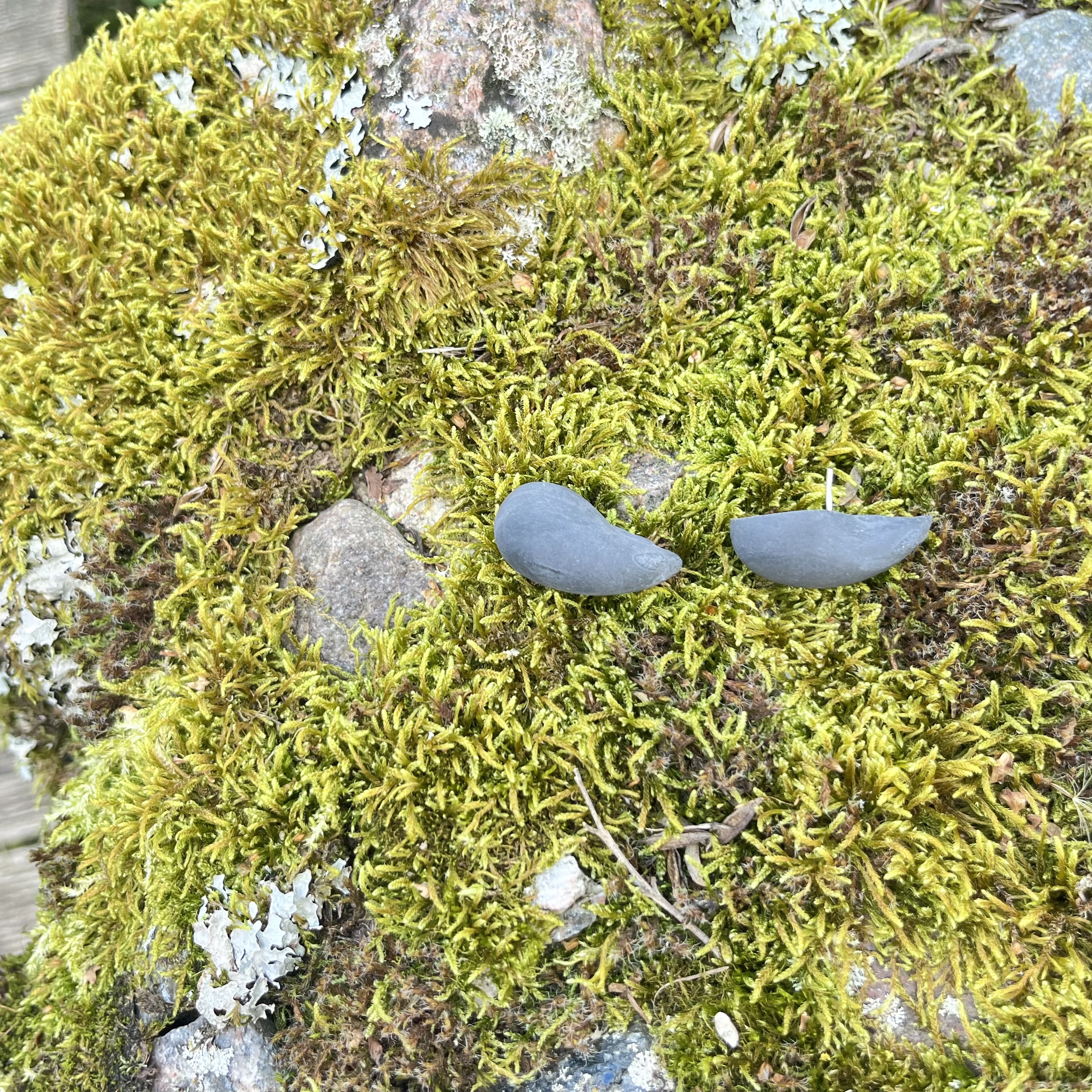 Auskarai LAŠAS / Earrings RAINDROP