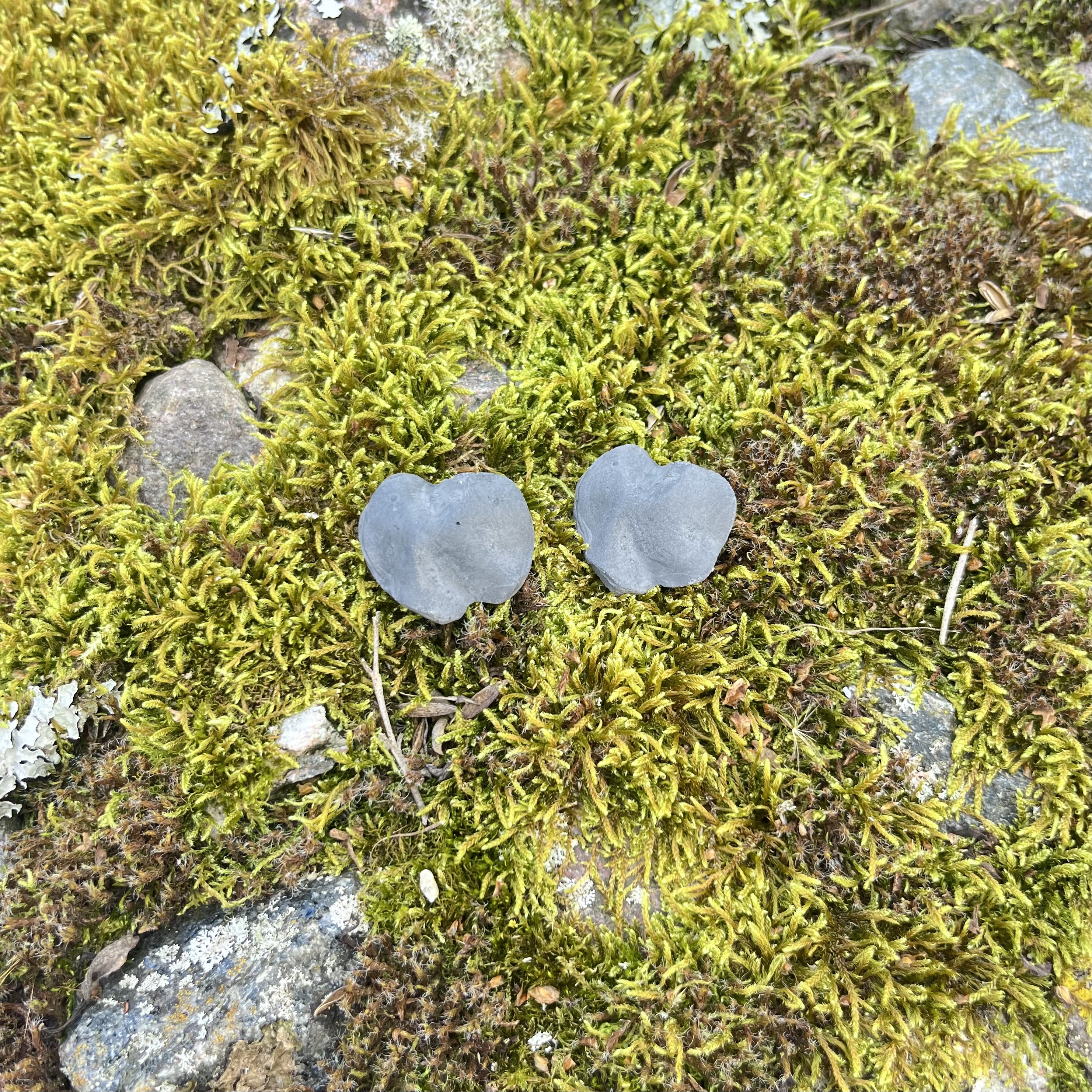 Auskarai LAMDYTI / Earrings WRINKLED