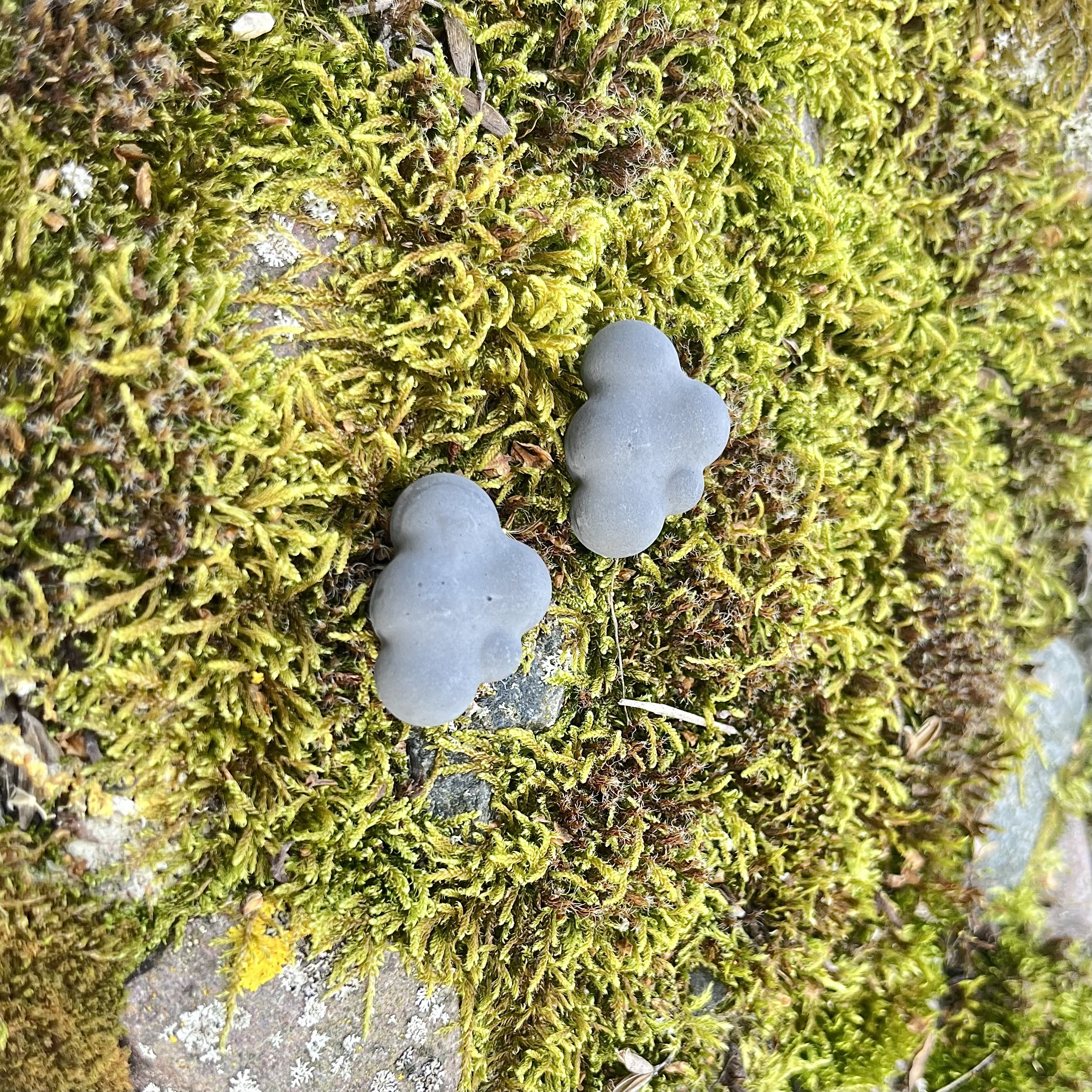 Auskarai DEBESYS / Earrings CLOUDS