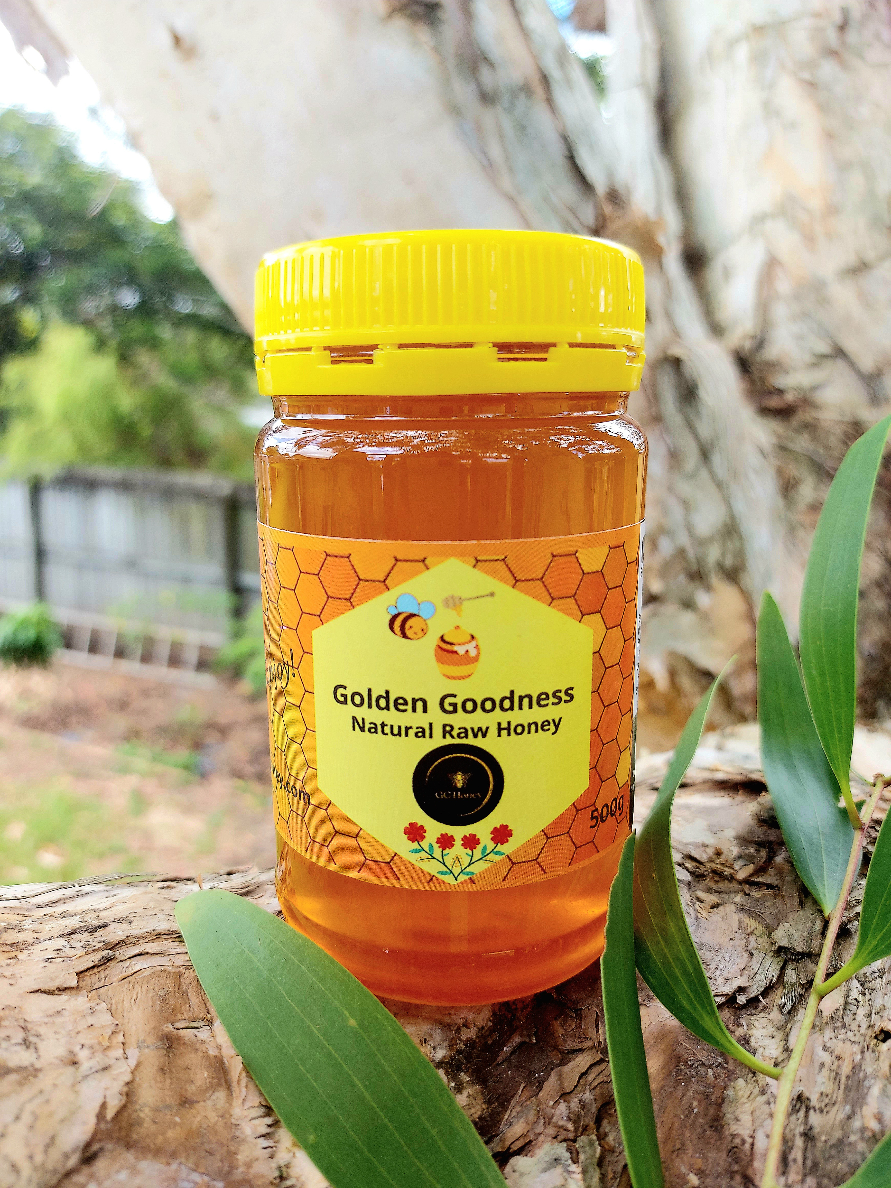Raw Mixed Blossom Honey (Upper Coomera)