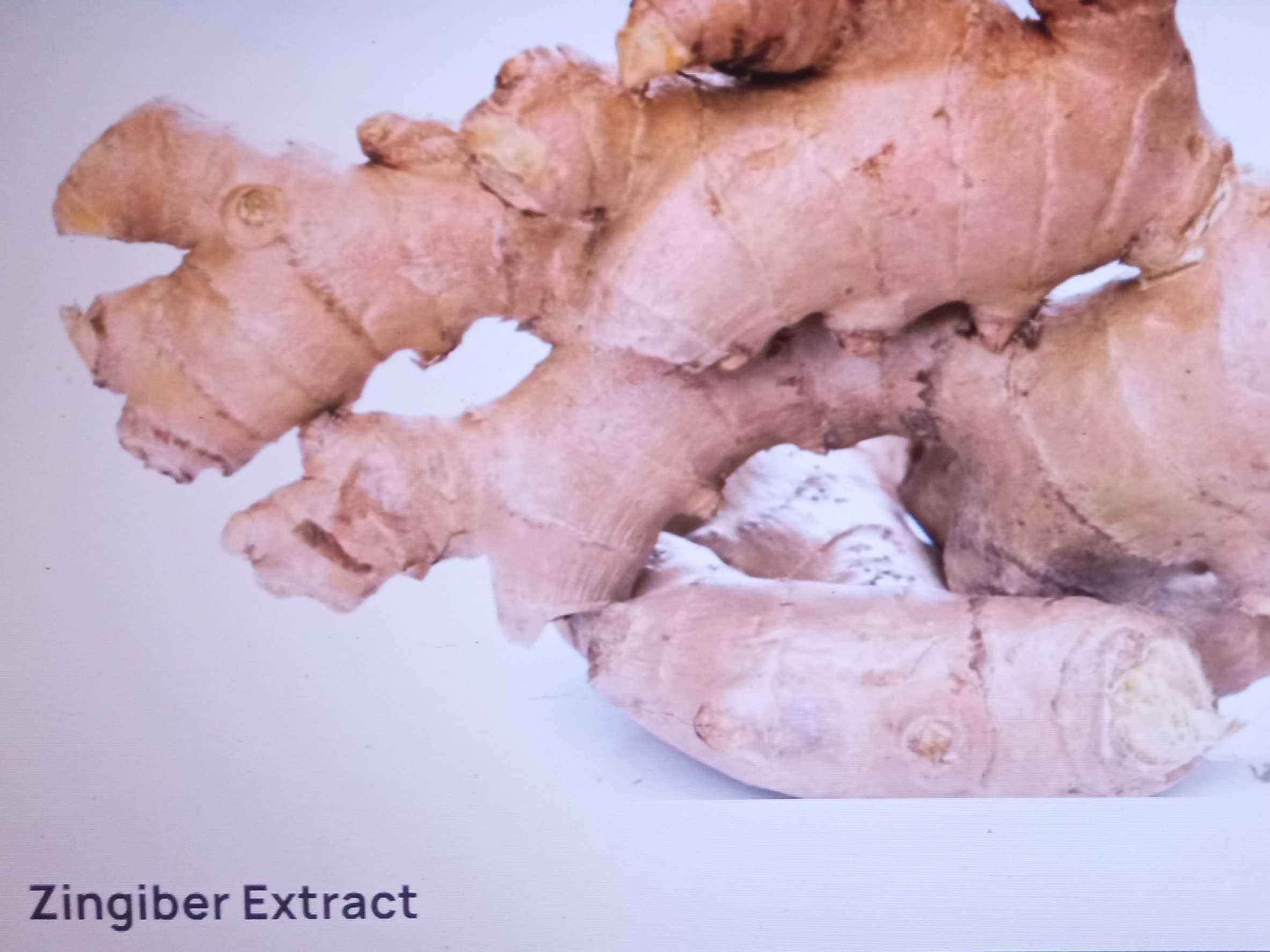 Zingiber Extract