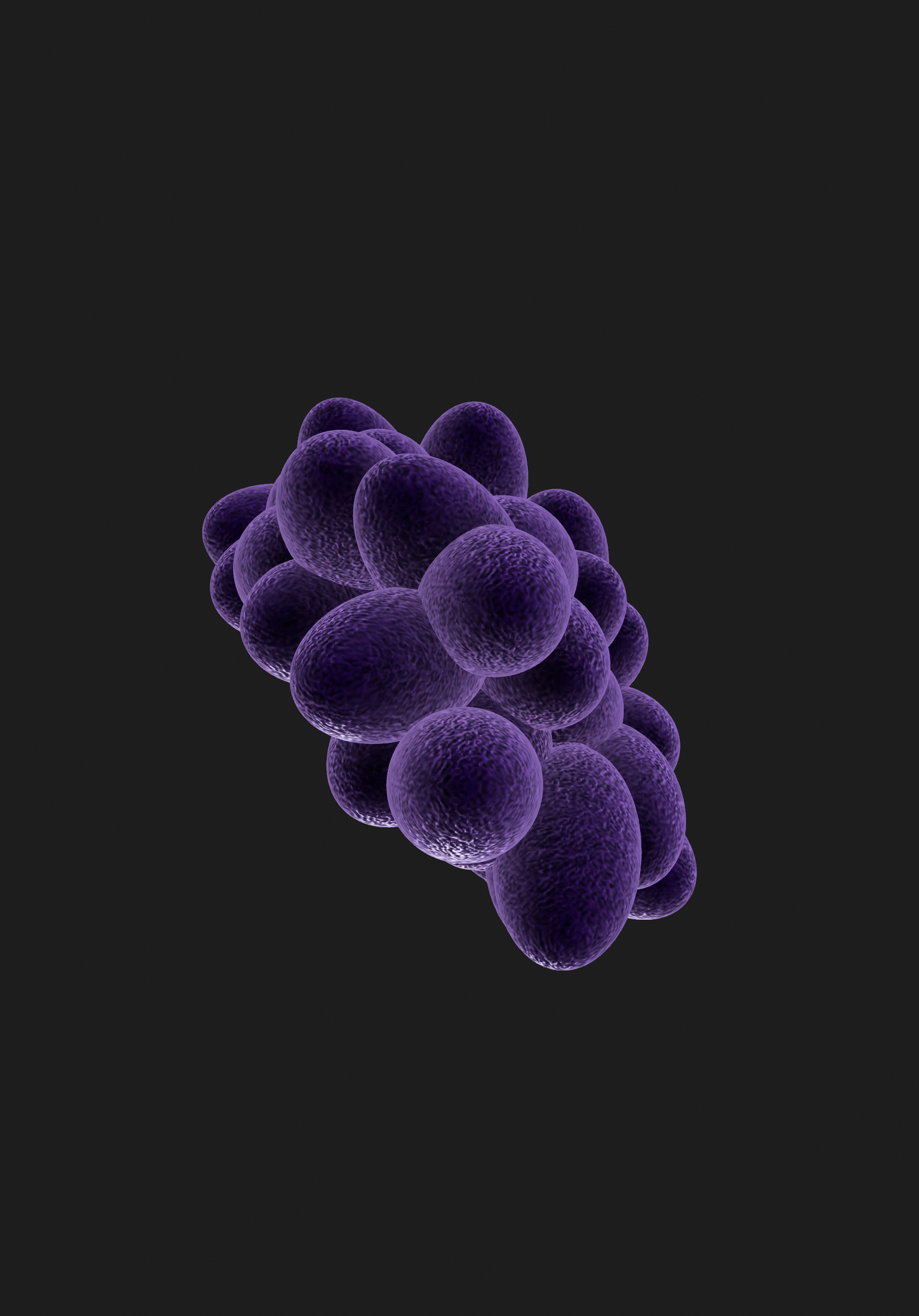 Grapes 3D Model