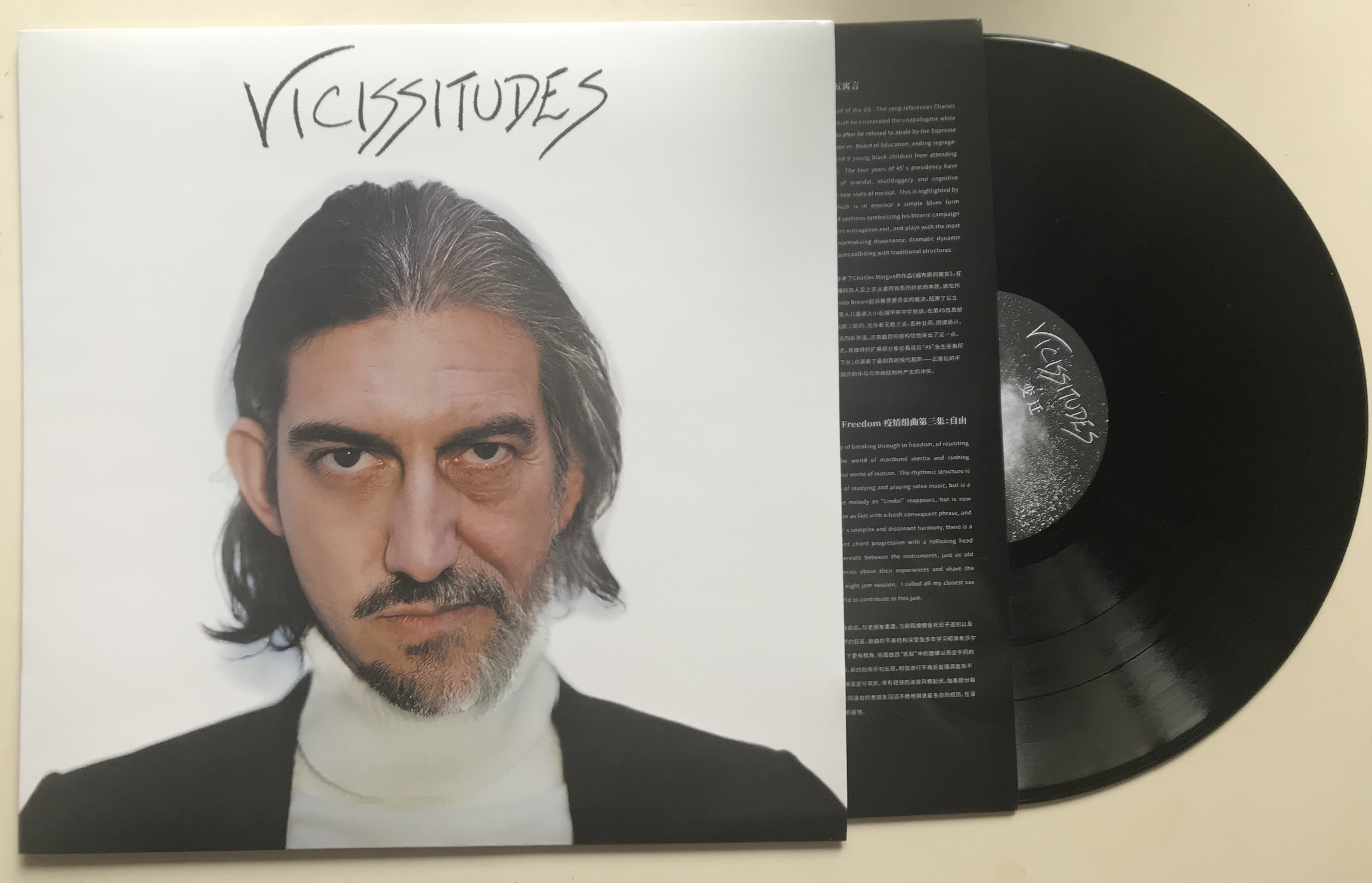 Vicissitudes vinyl LP