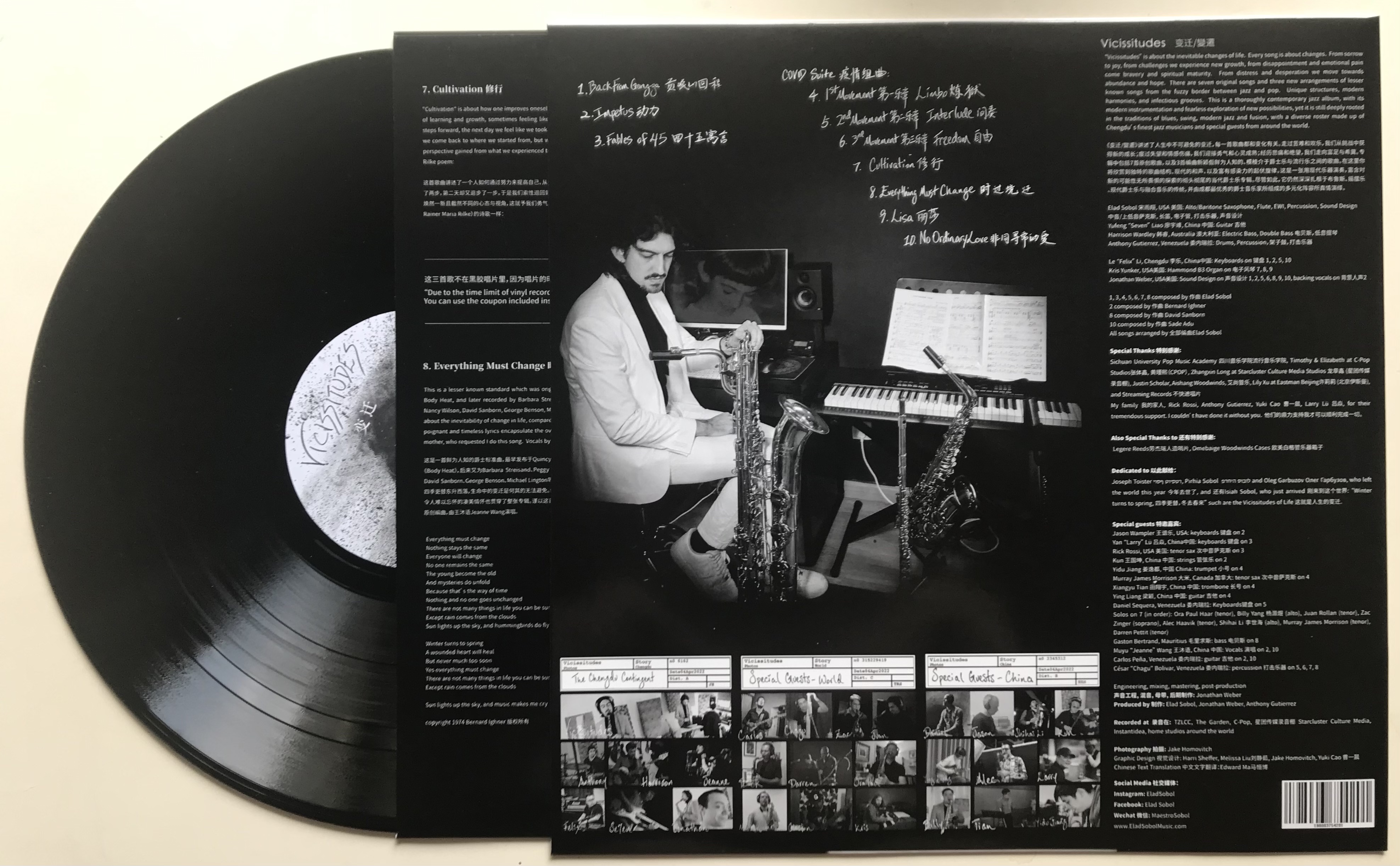 Vicissitudes vinyl LP
