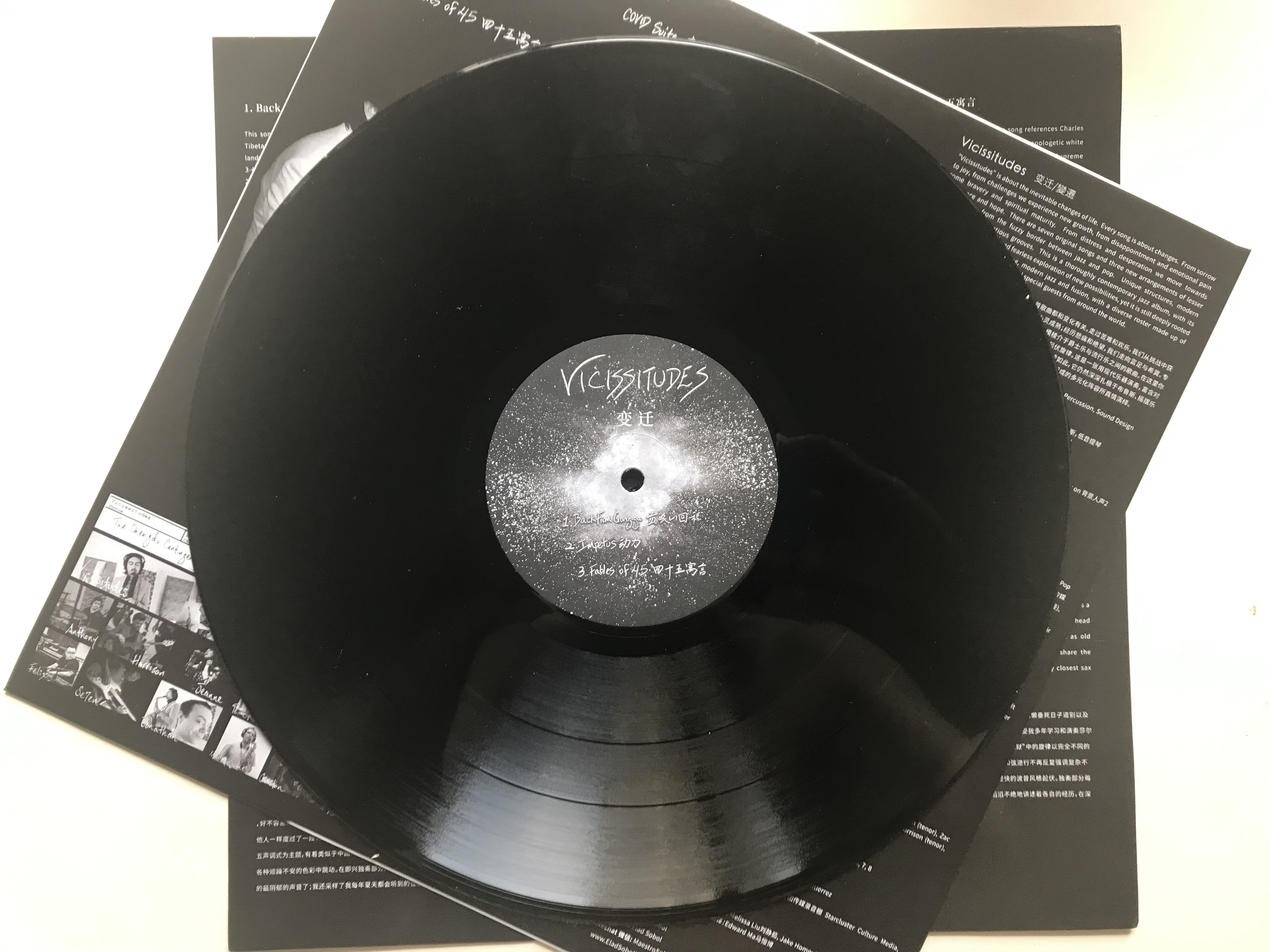 Vicissitudes vinyl LP